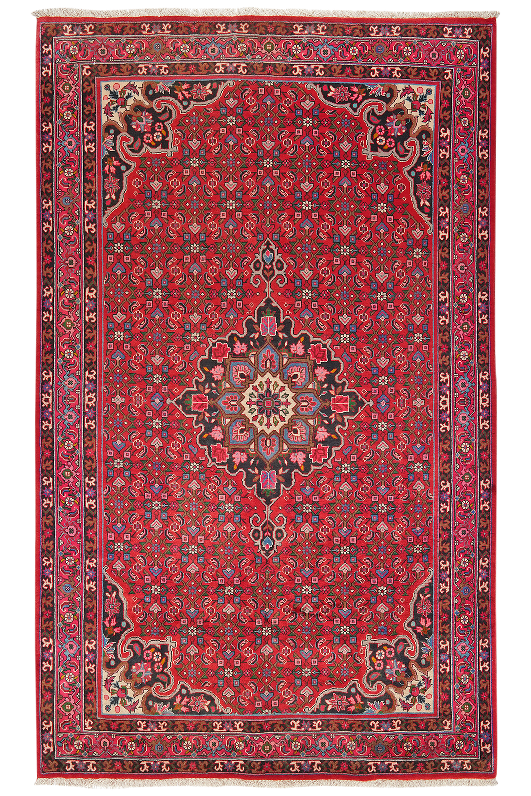 Bidjar — Hand-knotted, 155x254 cm, Red, 100% Virgin Wool | Main view