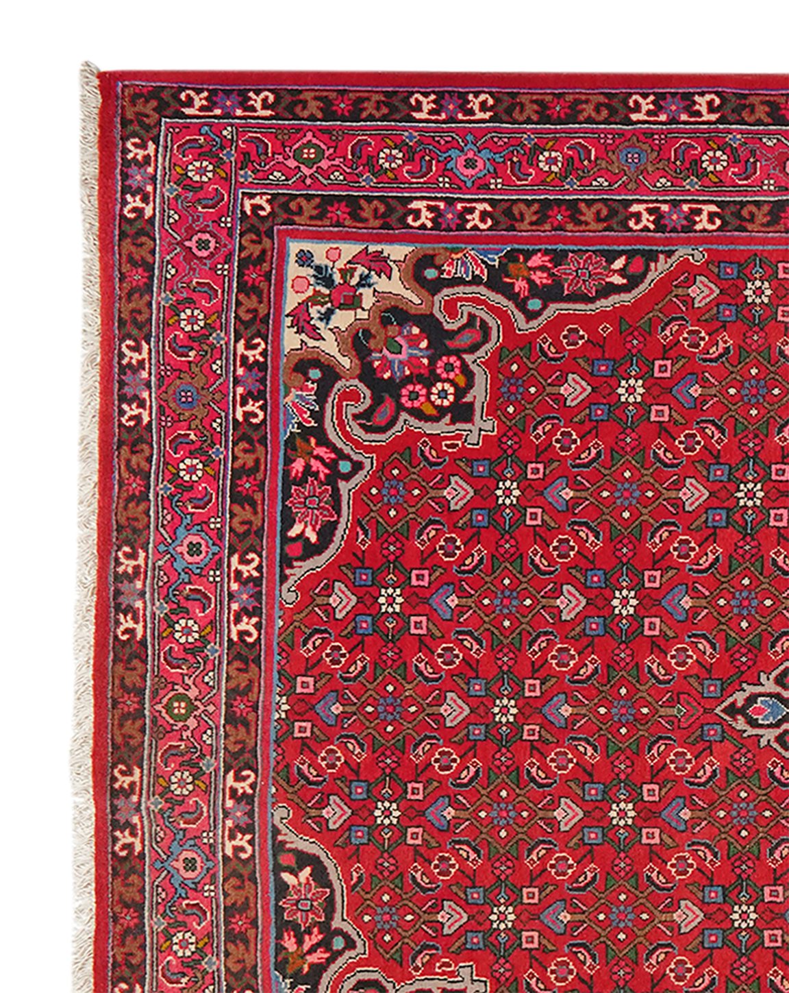 Bidjar — Hand-knotted, 155x254 cm, Red, 100% Virgin Wool | View 3