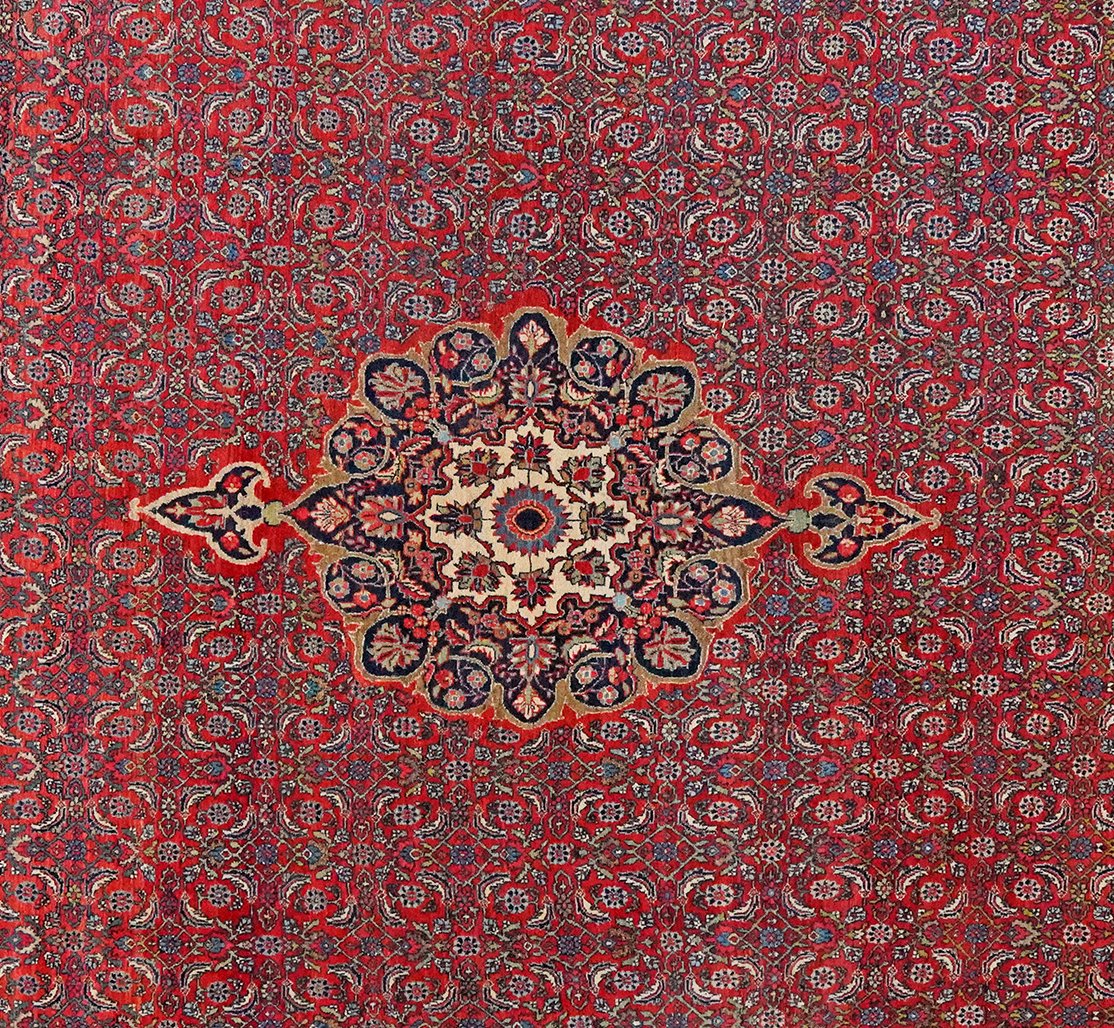 Bidjar — Hand-knotted, 270x350 cm, Red, 100% Virgin Wool | View 4