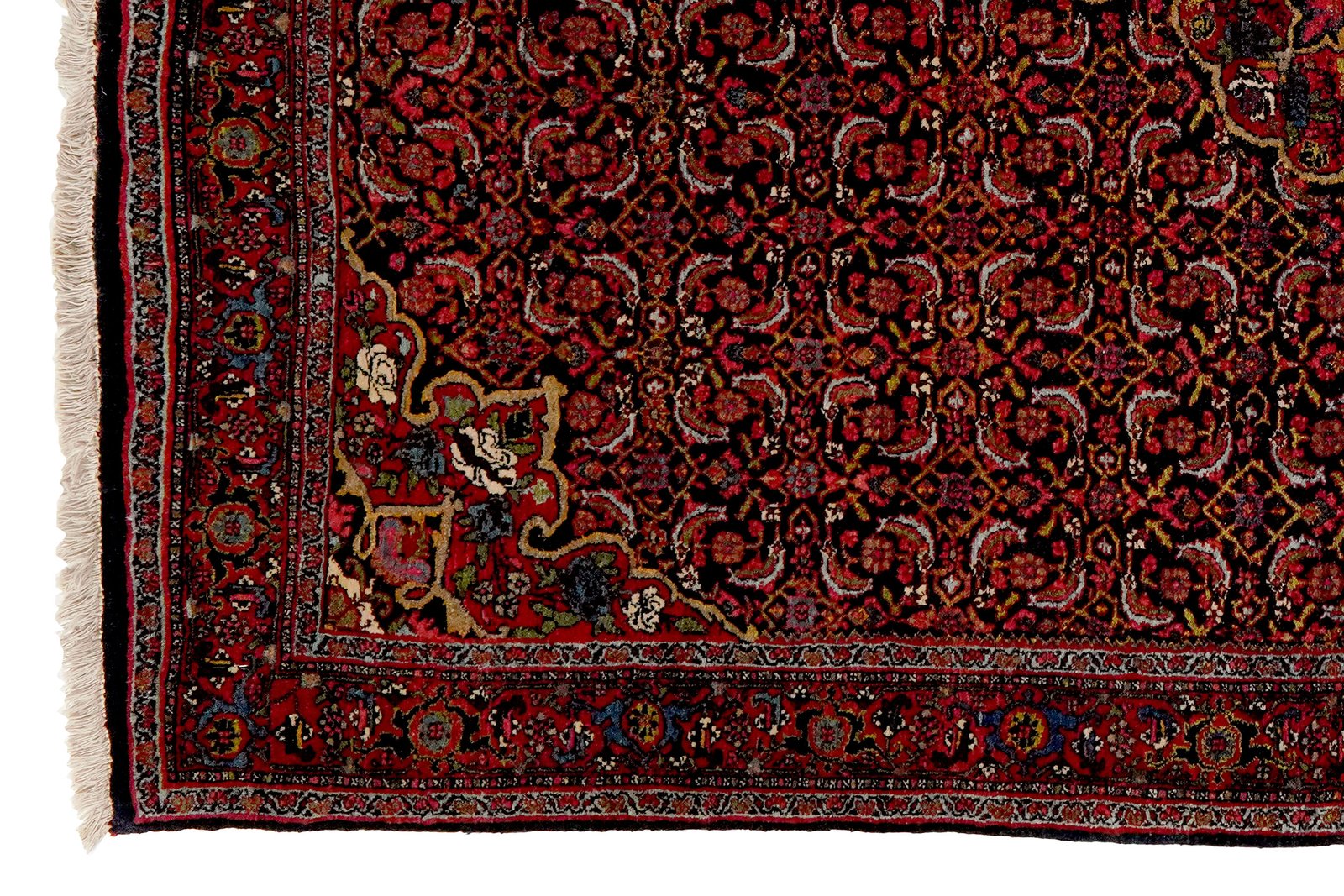 Bidjar — Hand-knotted, 134x194 cm, Blue, 100% Virgin Wool | View 3