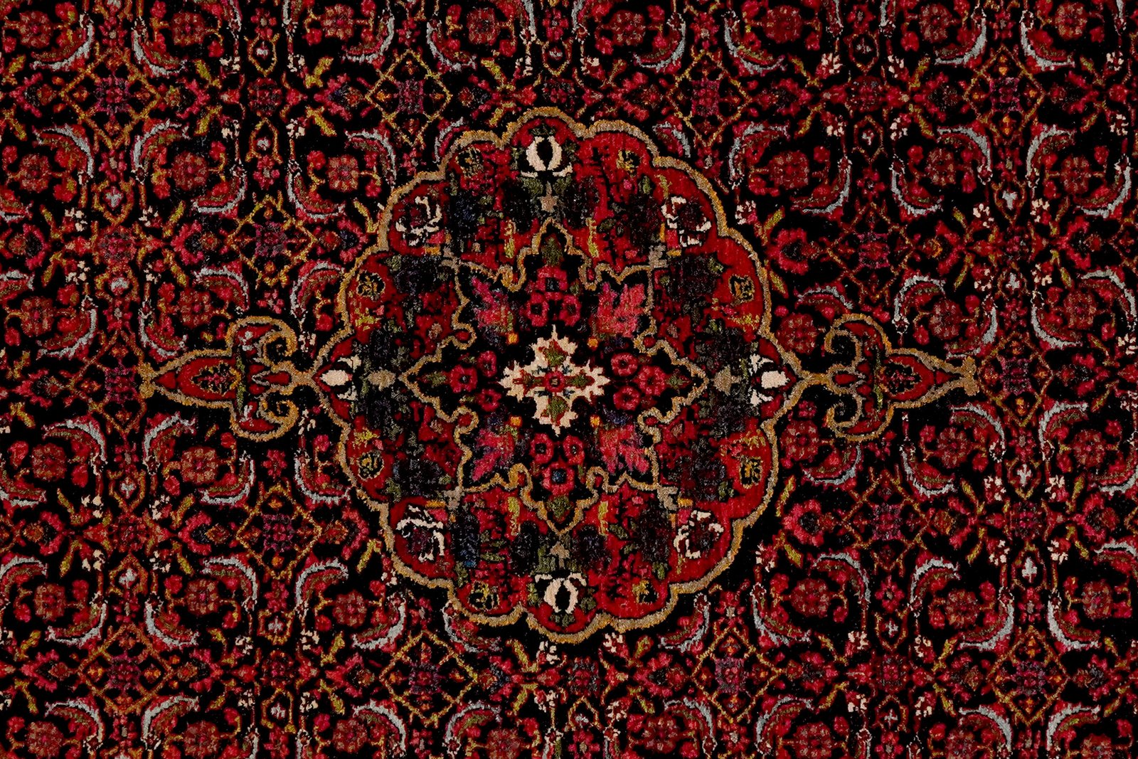 Bidjar — Hand-knotted, 134x194 cm, Blue, 100% Virgin Wool | View 4