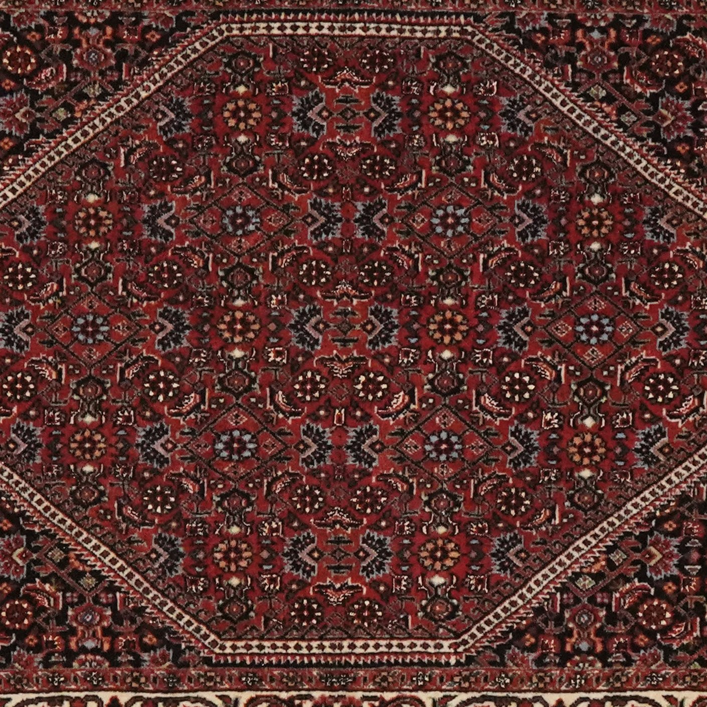 Bidjar Bookan — Hand-knotted, 82x306 cm, Blue, 100% Virgin Wool | View 4