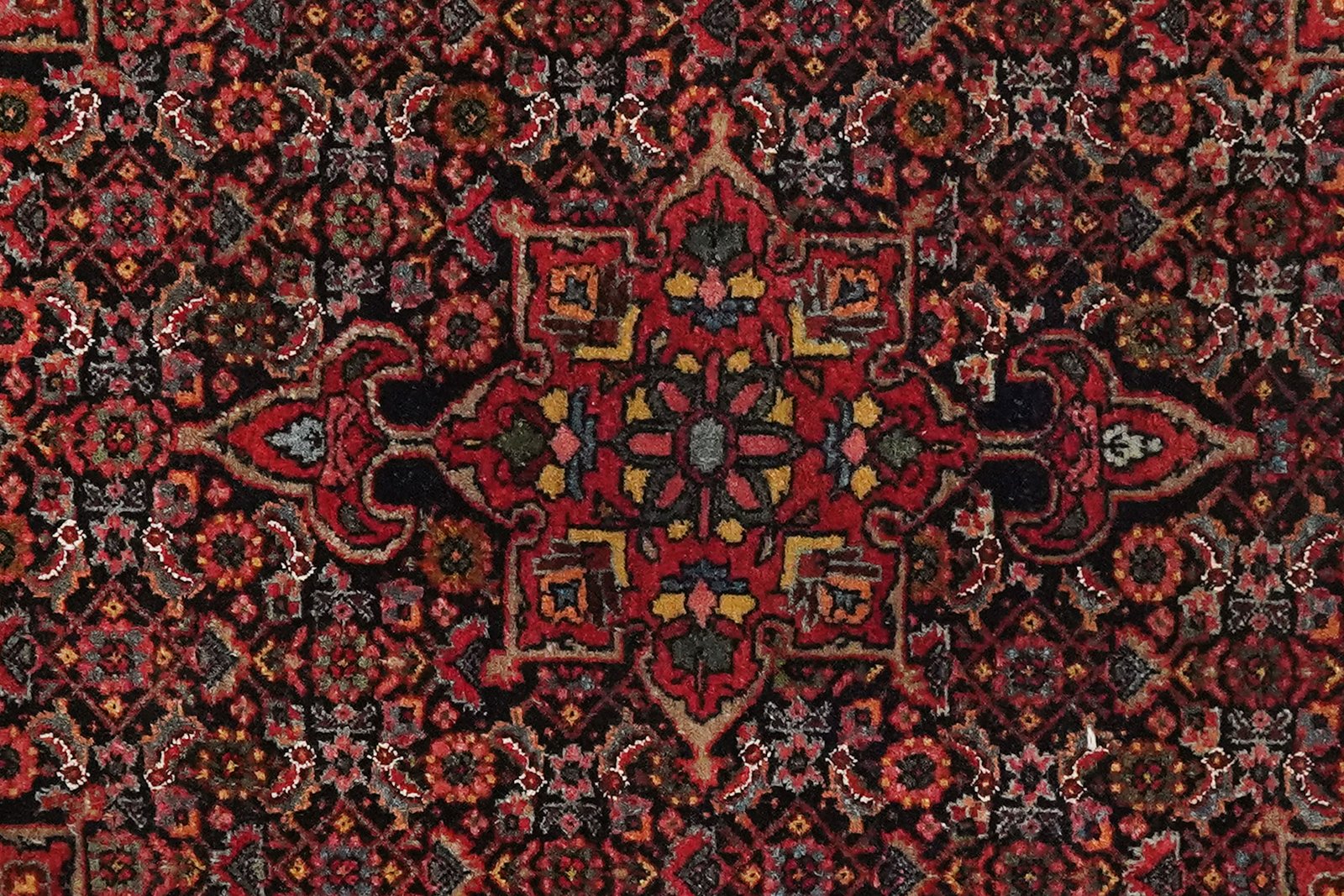 Bidjar — Hand-knotted, 69x83 cm, Blue, 100% Virgin Wool | View 4