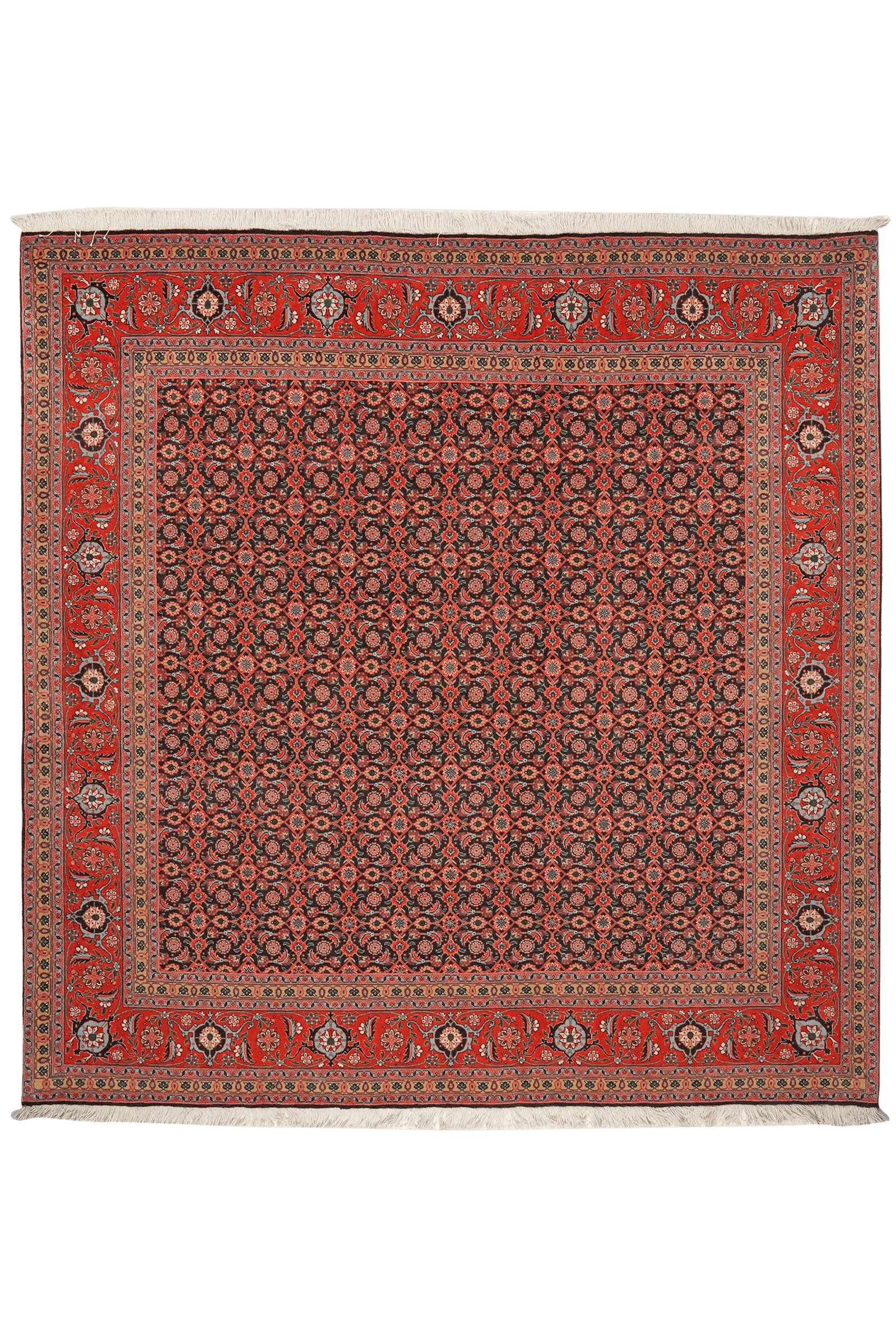Tabriz 50 Raj — Hand-knotted, 203x204 cm, Blue, 100% Virgin Wool | Main view
