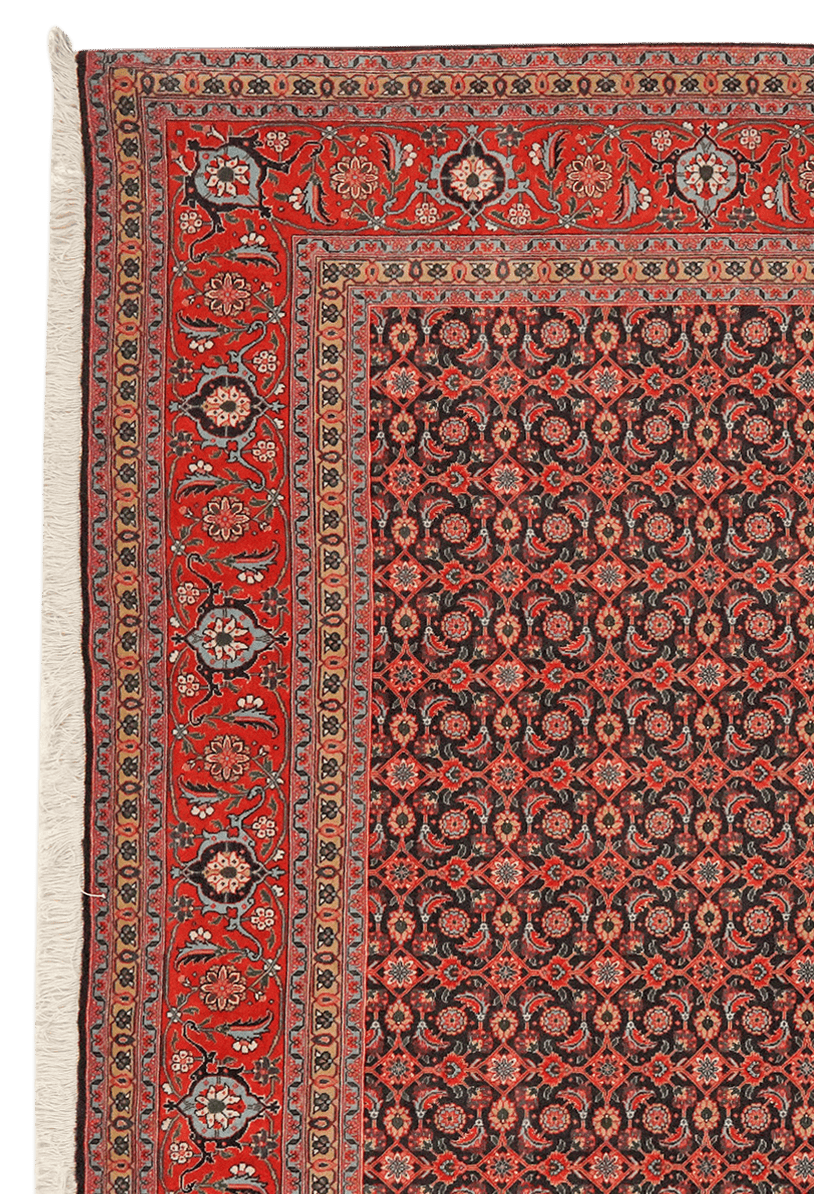 Tabriz 50 Raj — Hand-knotted, 203x204 cm, Blue, 100% Virgin Wool | View 3