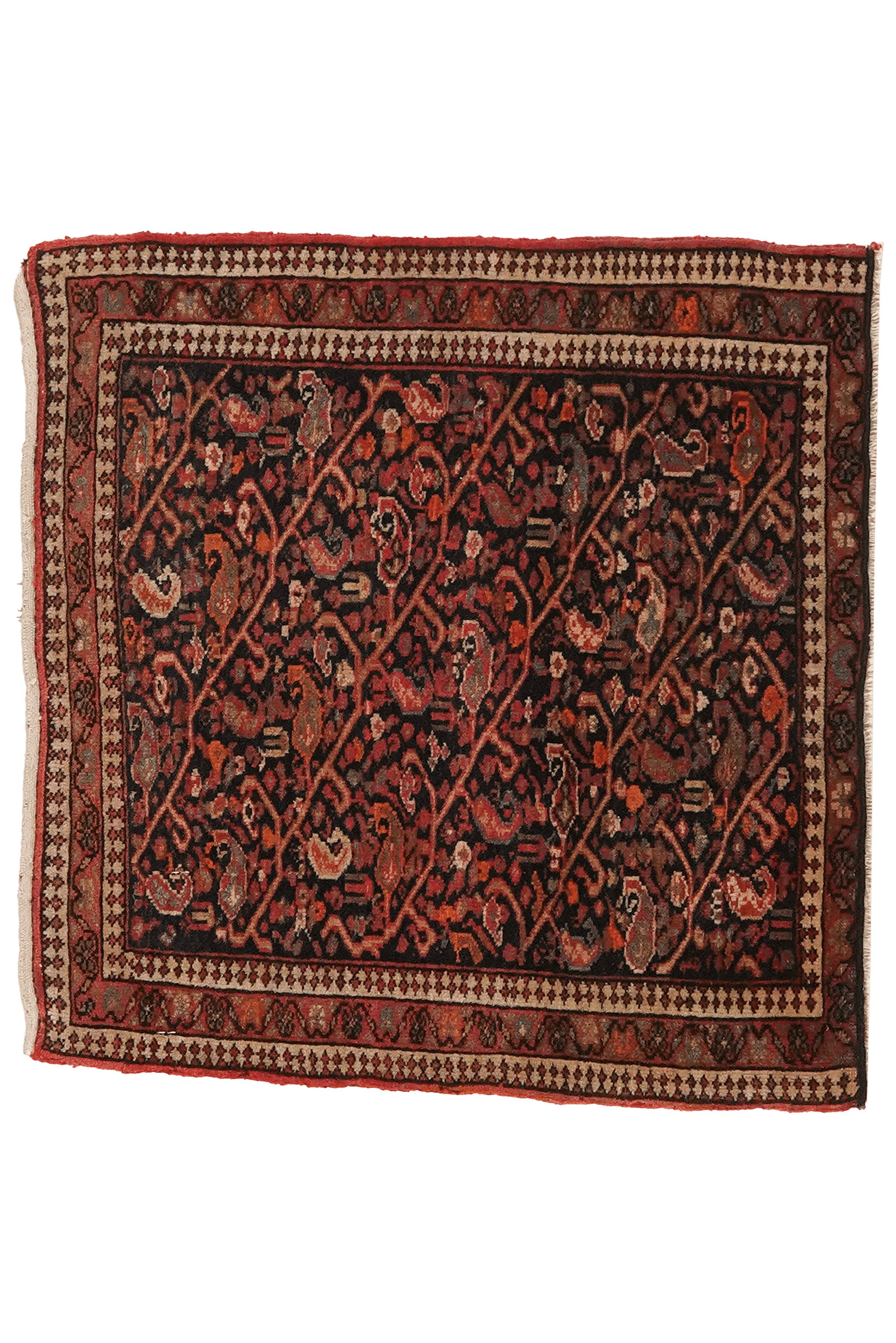 Malayer — Hand-knotted, 50x50 cm, Blue, 100% Virgin Wool | Main view