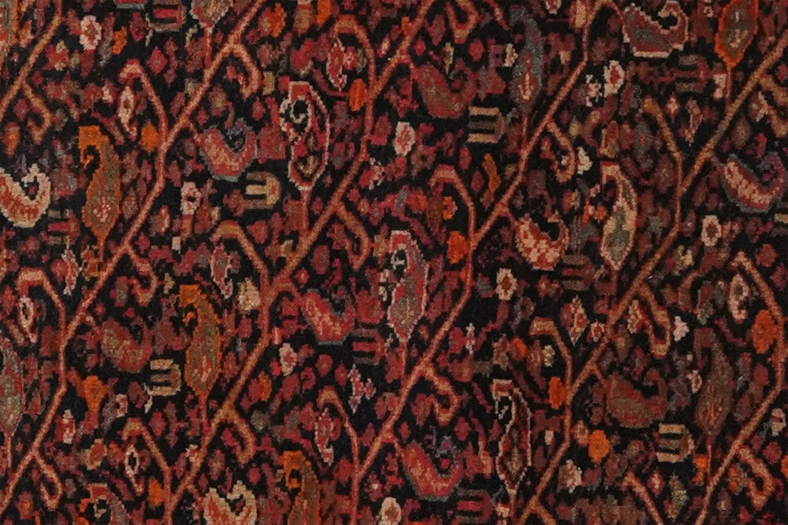 Malayer — Hand-knotted, 50x50 cm, Blue, 100% Virgin Wool | View 4
