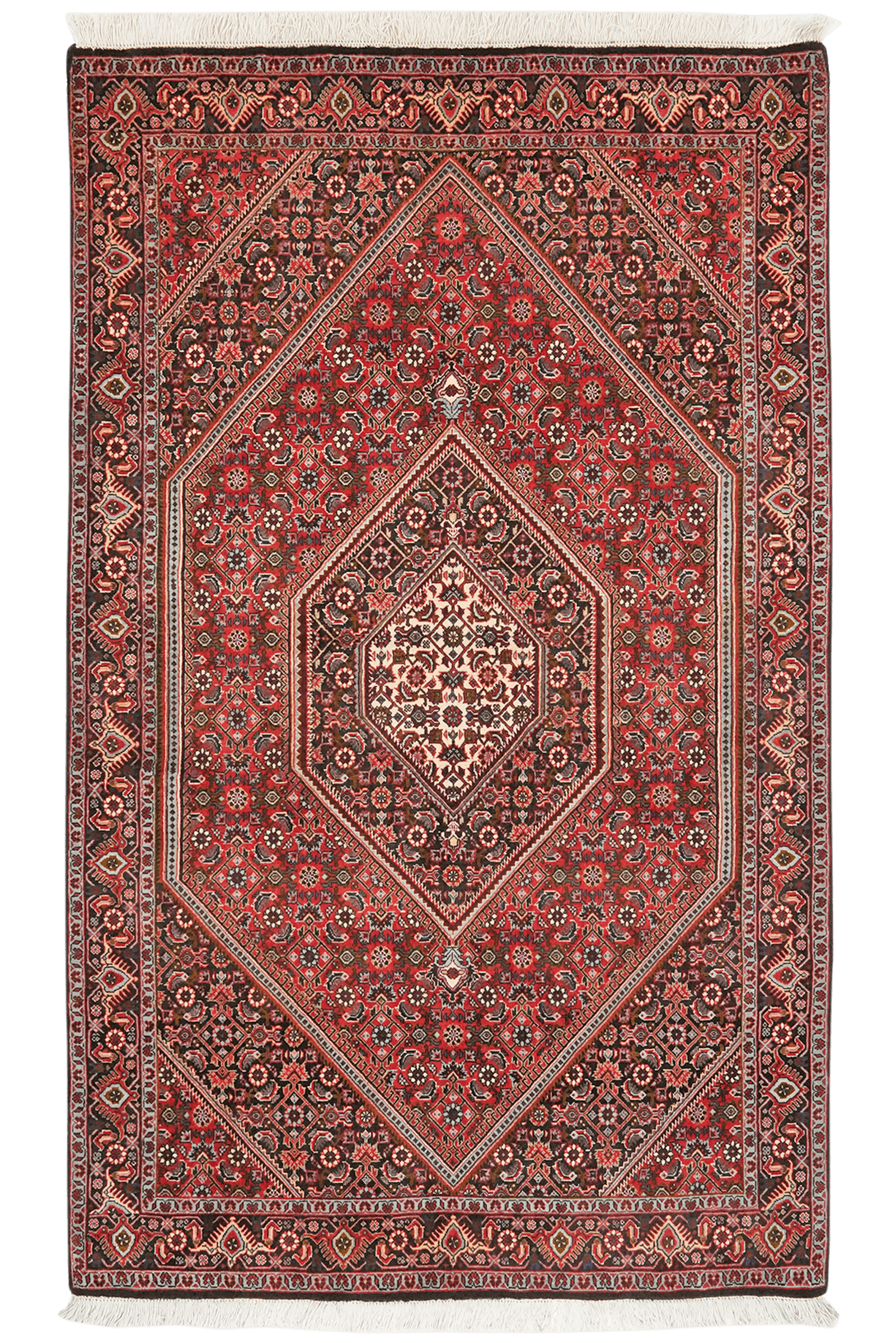 Bidjar Bookan — Hand-knotted, 111x182 cm, Red, 100% Virgin Wool | Main view