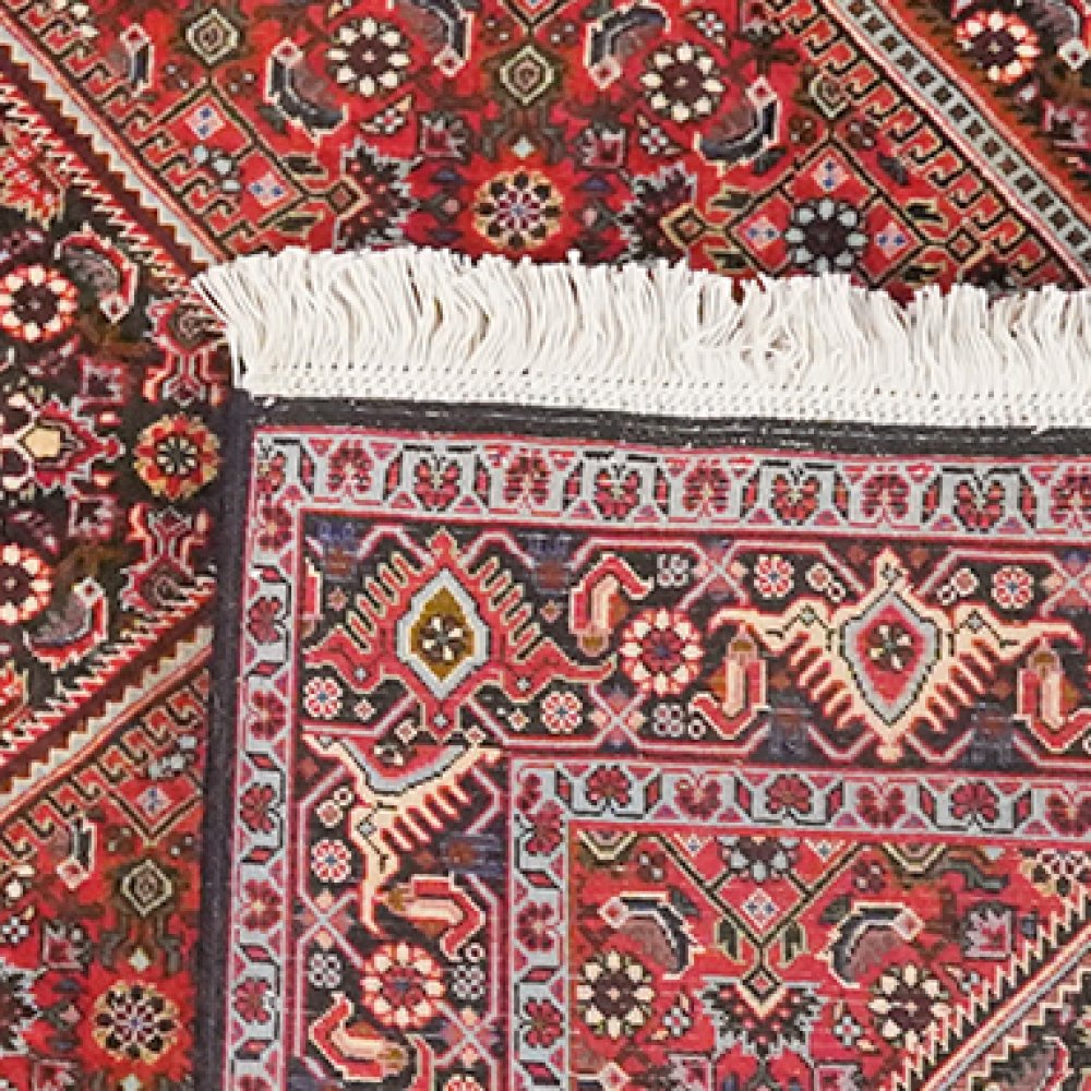Bidjar Bookan — Hand-knotted, 111x182 cm, Red, 100% Virgin Wool | View 6