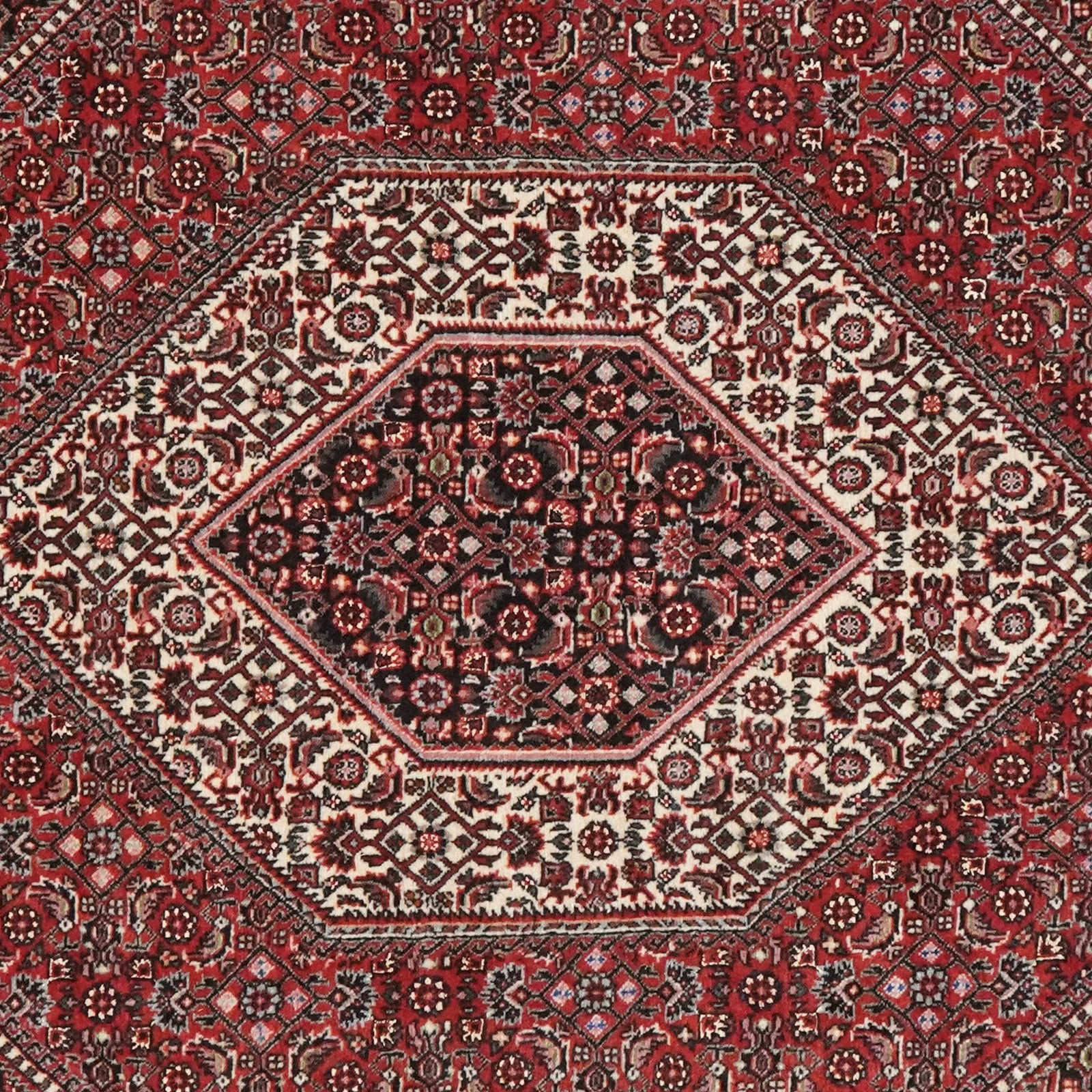 Bidjar Bookan — Hand-knotted, 114x181 cm, Red, 100% Virgin Wool | View 6
