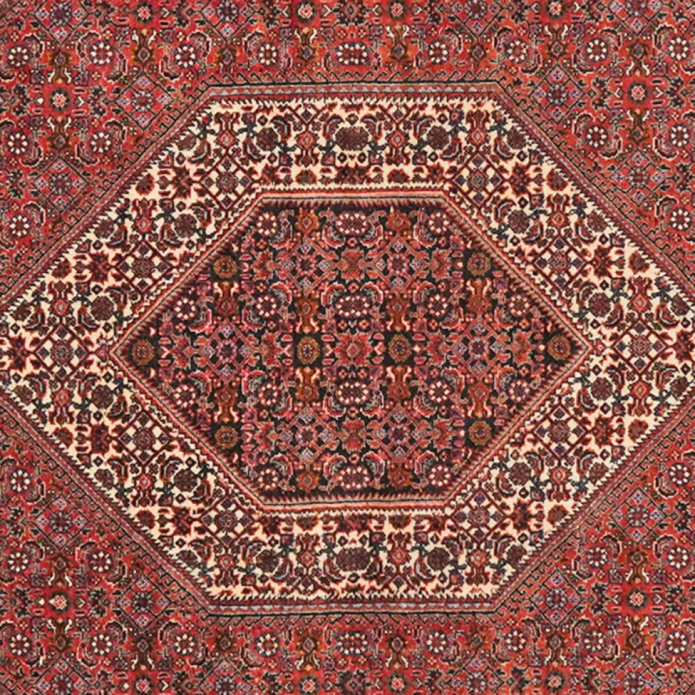 Bidjar Bookan — Hand-knotted, 115x178 cm, Red, 100% Virgin Wool | View 4