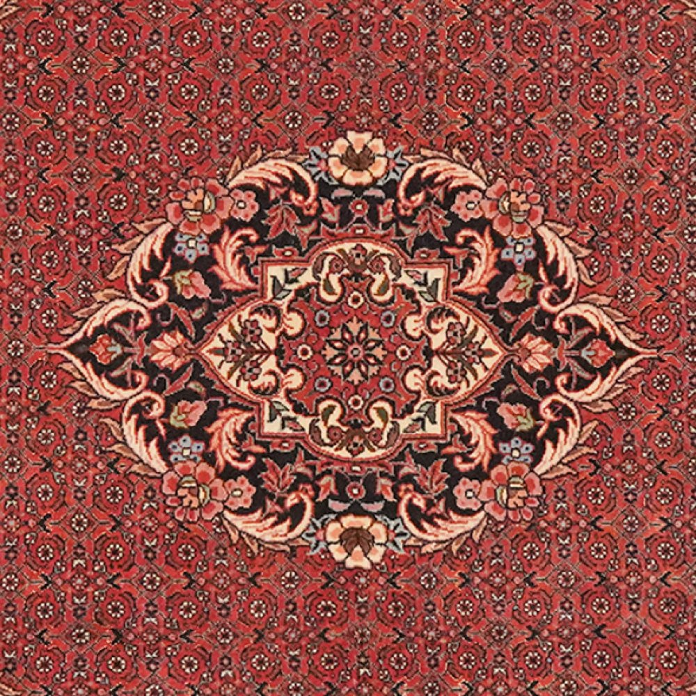 Bidjar Bookan — Hand-knotted, 105x153 cm, Red, 100% Virgin Wool | View 4