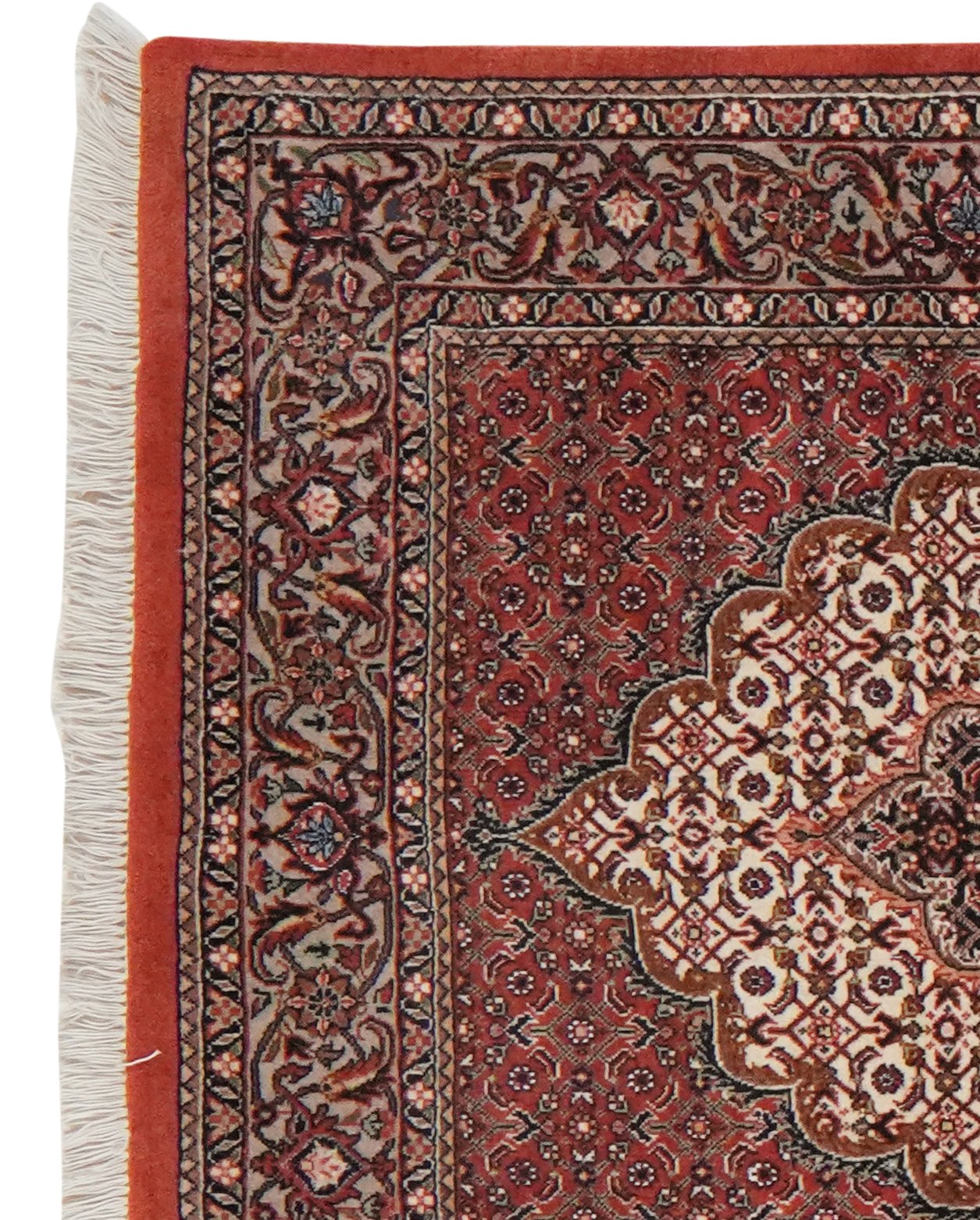 Bidjar Bookan — Hand-knotted, 89x308 cm, Red, 100% Virgin Wool | View 3