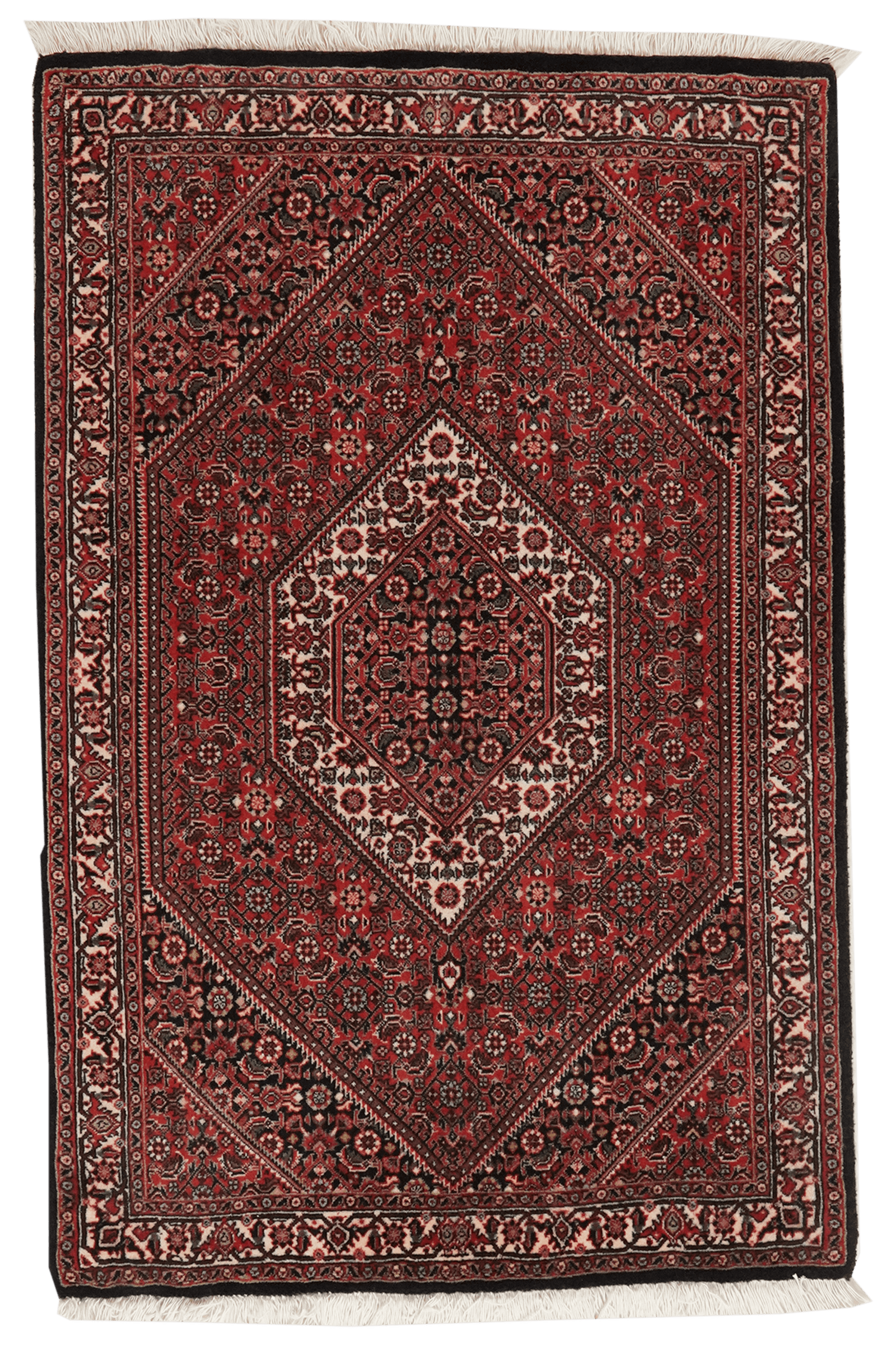 Bidjar Bookan — Hand-knotted, 77x119 cm, Red, 100% Virgin Wool | Main view