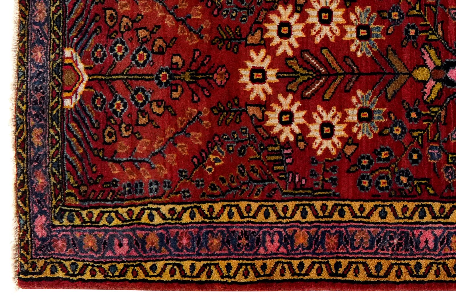 Mehreban — Hand-knotted, 78x219 cm, Red, 100% Virgin Wool | View 3