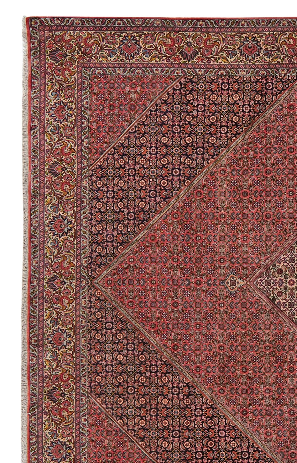 Bidjar — Hand-knotted, 258x362 cm, Red, 100% Virgin Wool | View 3