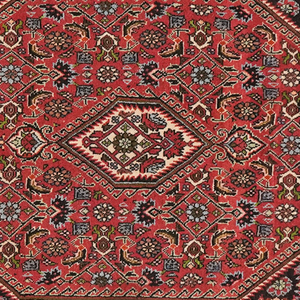 Bidjar Zandjan — Hand-knotted, 86x152 cm, Red, 100% Virgin Wool | View 4