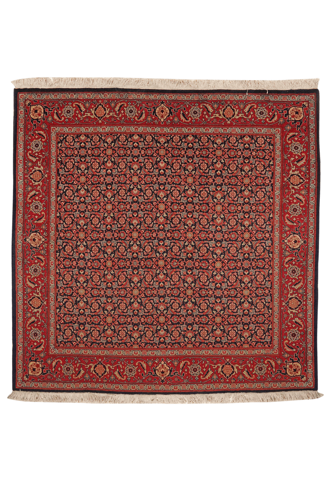 Tabriz 40 Raj — Hand-knotted, 197x200 cm, Blue, 100% Virgin Wool | Main view
