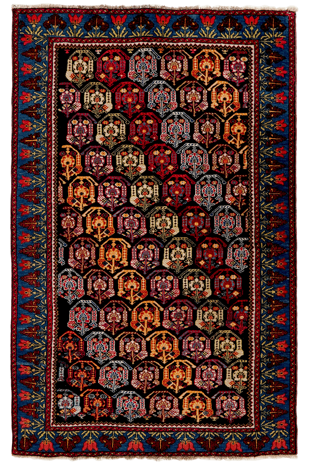 Henegoun — Hand-knotted, 98x157 cm, Black, 100% Virgin Wool | Main view