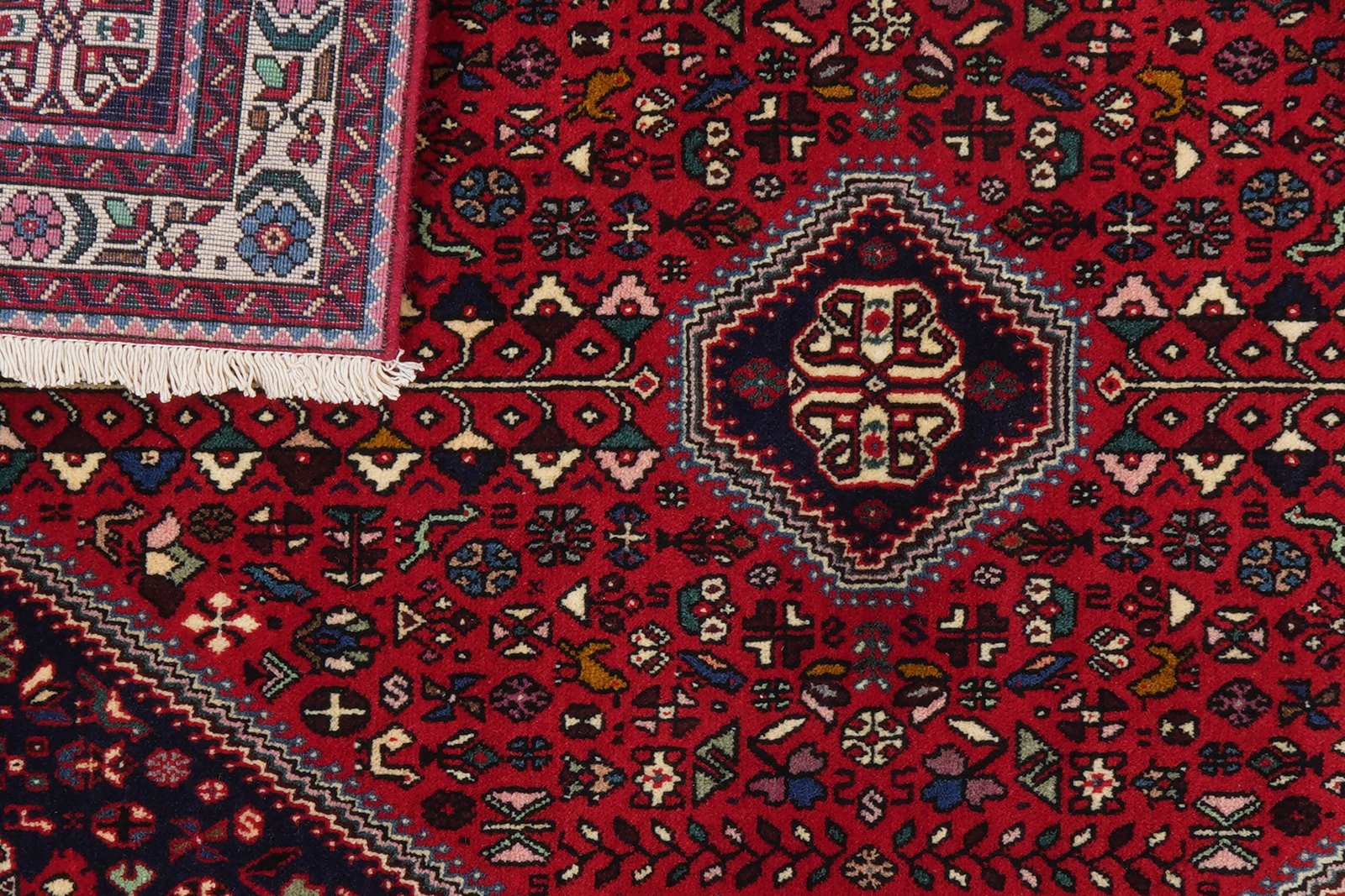 Abadeh — Hand-knotted, 100x149 cm, Red, 100% Virgin Wool | View 6