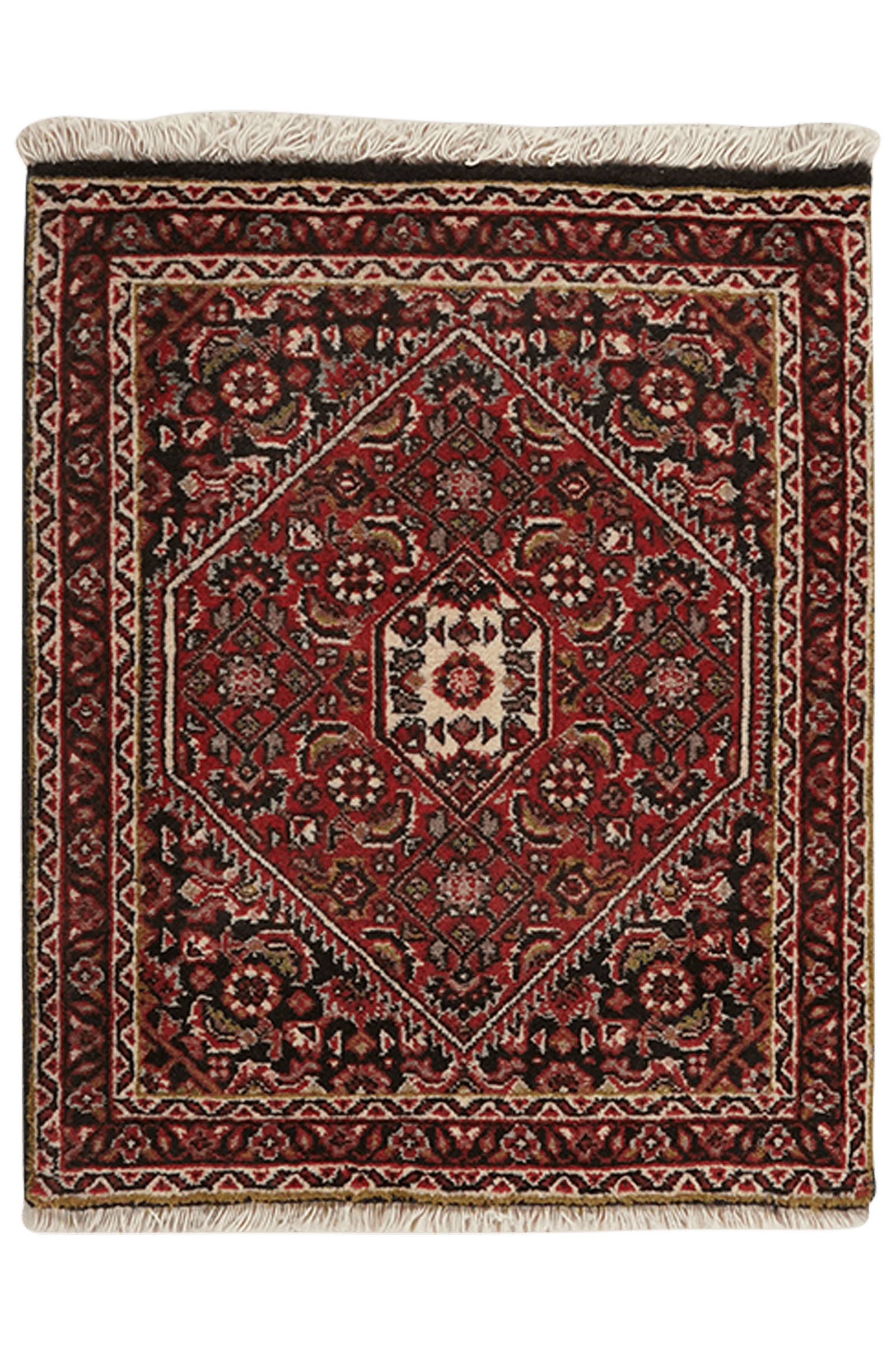 Bidjar Zandjan — Hand-knotted, 50x58 cm, Blue, 100% Virgin Wool | Main view