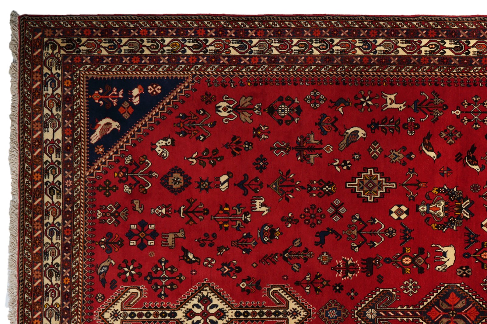 Nasrabad — Hand-knotted, 203x295 cm, Red, 100% Virgin Wool | View 3