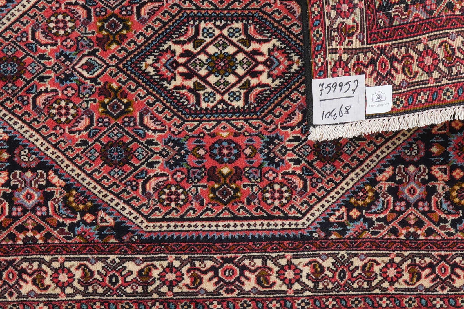 Bidjar Zandjan — Hand-knotted, 68x104 cm, Red, 100% Virgin Wool | View 6