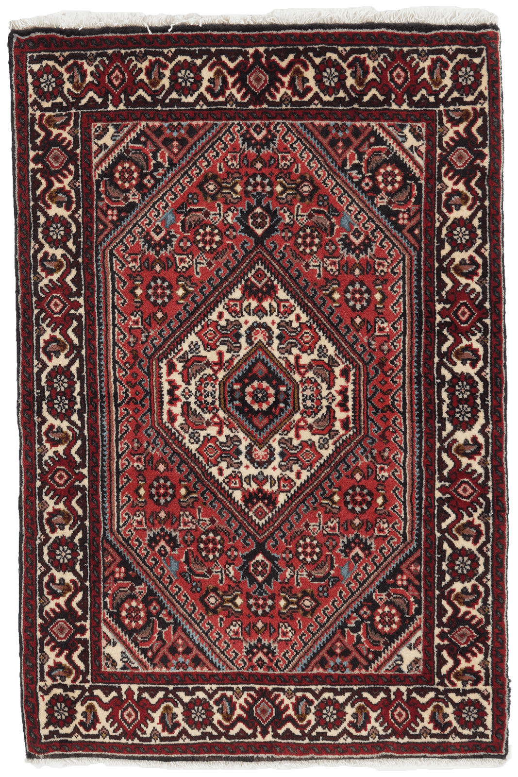 Bidjar Zandjan — Hand-knotted, 64x96 cm, Red, 100% Virgin Wool | Main view