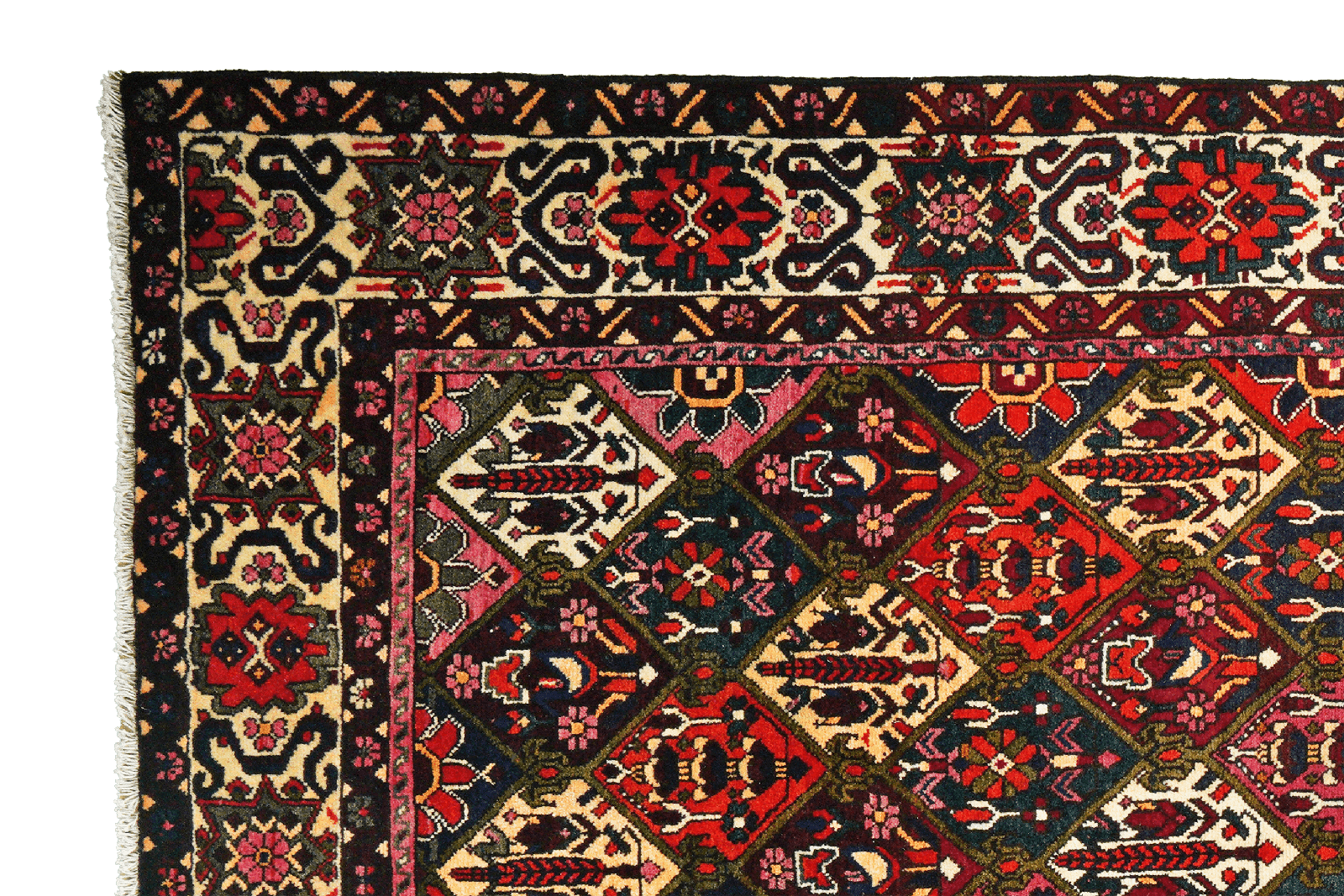 Bakhtiar — Hand-knotted, 205x307 cm, Multicolor, 100% Virgin Wool | View 3