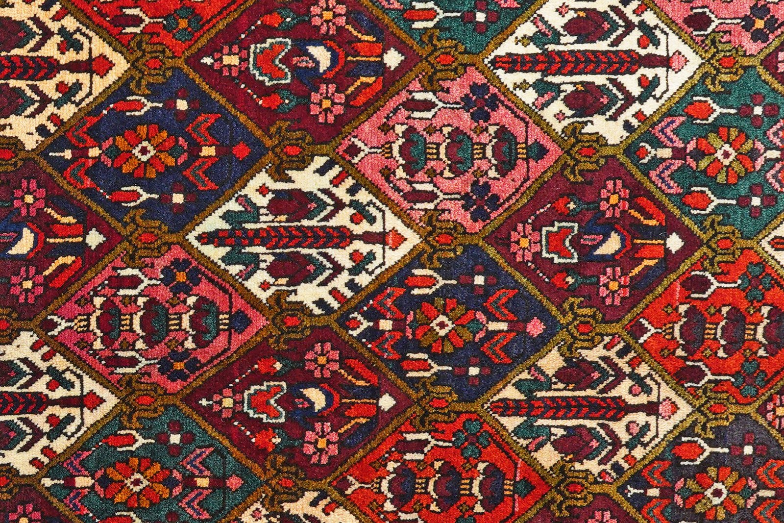 Bakhtiar — Hand-knotted, 205x307 cm, Multicolor, 100% Virgin Wool | View 8