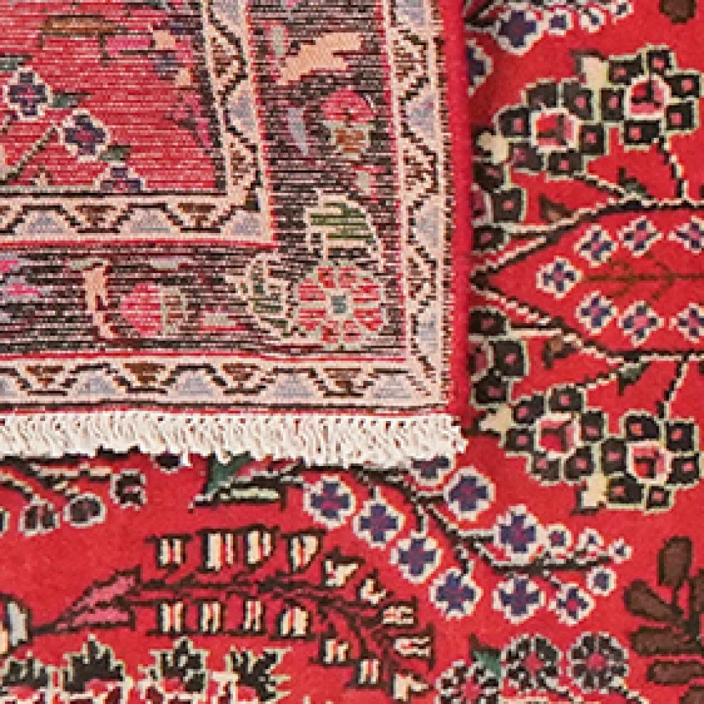 Dardjazin — Hand-knotted, 82x263 cm, Red, 100% Virgin Wool | View 6