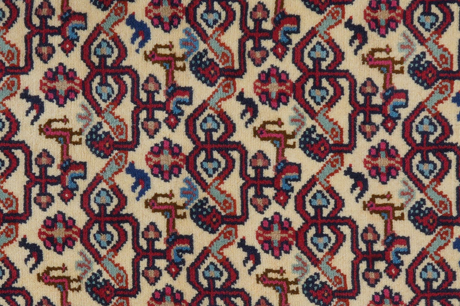 Assadabad — Hand-knotted, 71x192 cm, Beige, 100% Virgin Wool | View 7