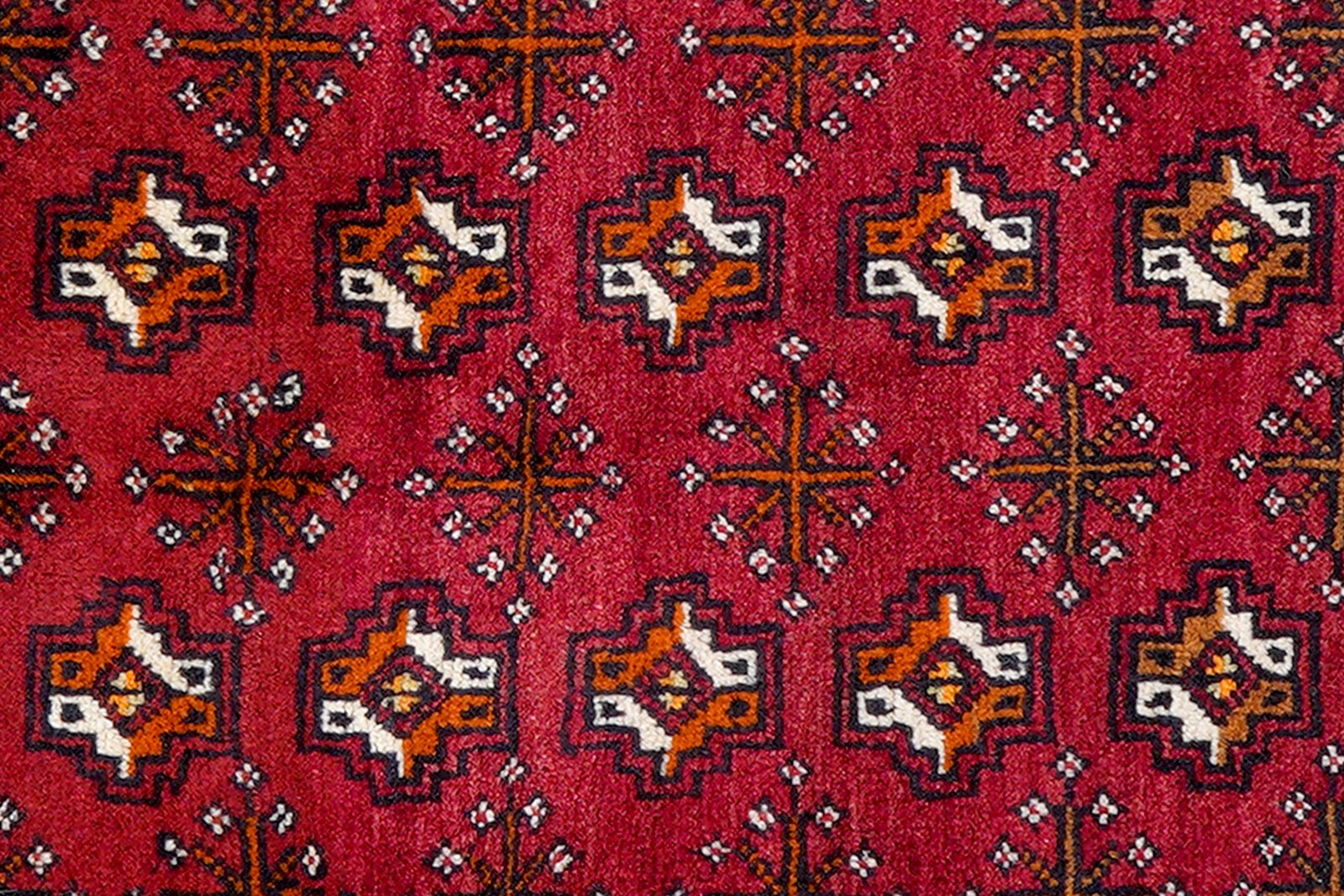 Belutch — Hand-knotted, 60x292 cm, Red, 100% Virgin Wool | View 6