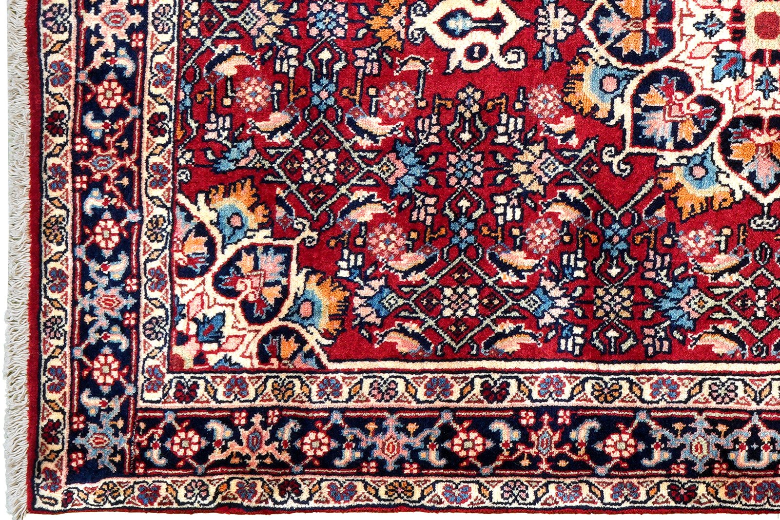 Bidjar Zandjan — Hand-knotted, 100x149 cm, Red, 100% Virgin Wool | View 3