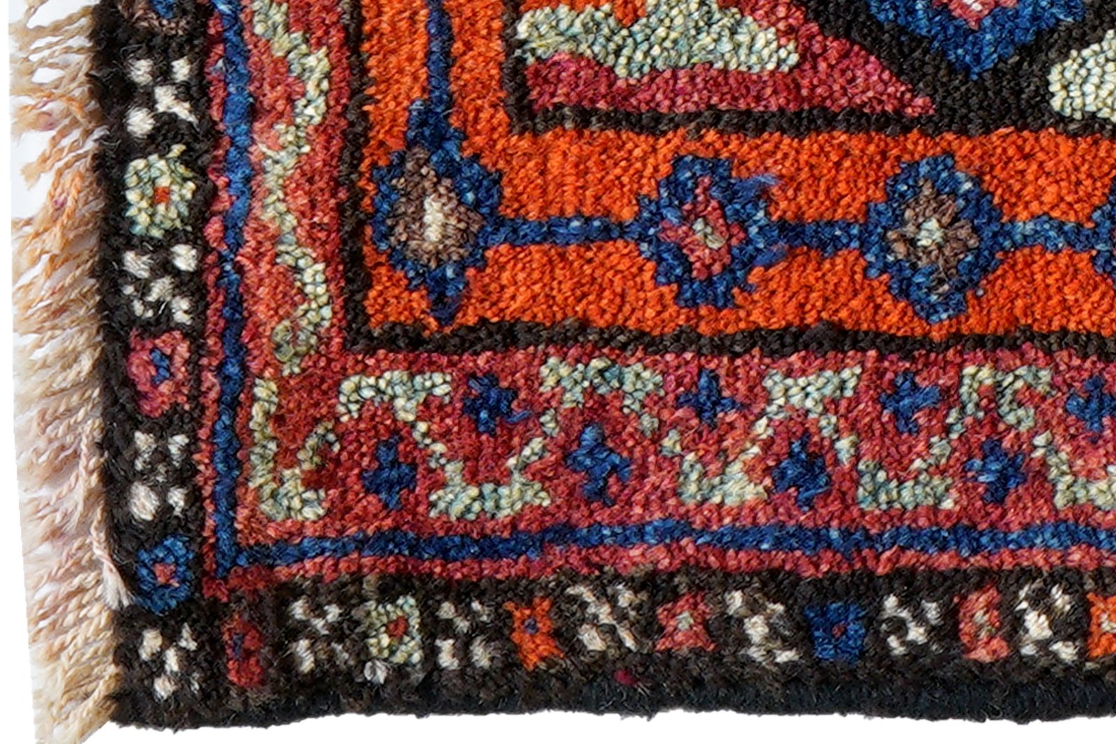 Gashgai — Hand-knotted, 66x67 cm, Multicolor, 100% Virgin Wool | View 3