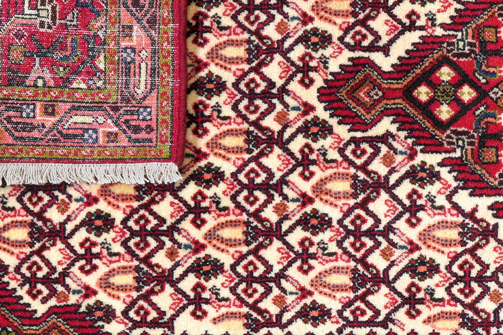 Assadabad — Hand-knotted, 78x193 cm, Beige, 100% Virgin Wool | View 7