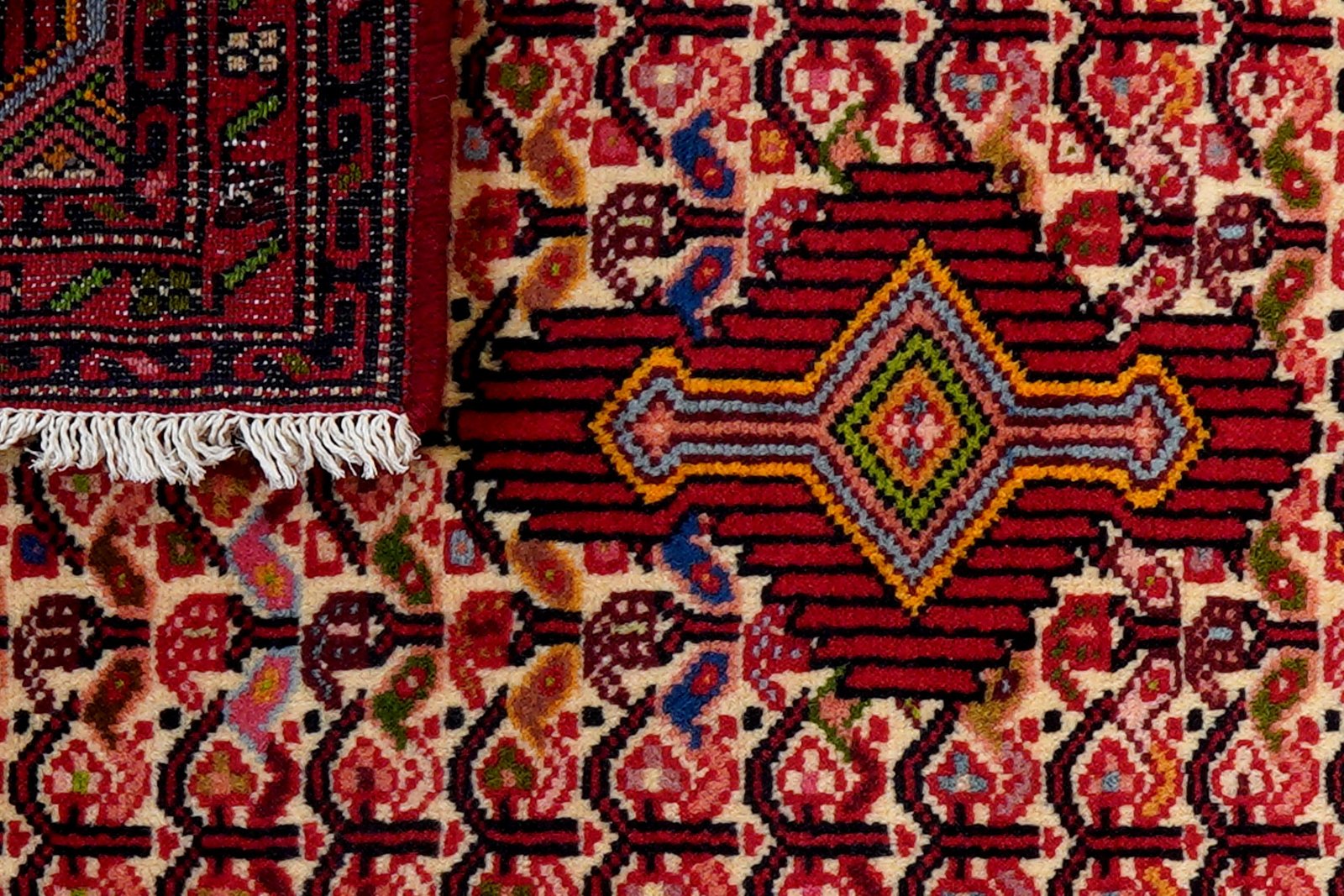 Assadabad — Hand-knotted, 70x102 cm, Multicolor, 100% Virgin Wool | View 7