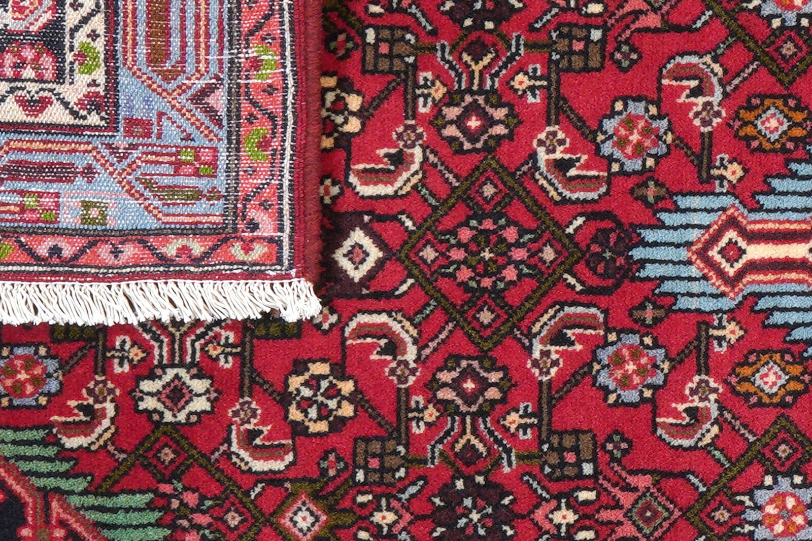 Assadabad — Hand-knotted, 83x195 cm, Red, 100% Virgin Wool | View 7