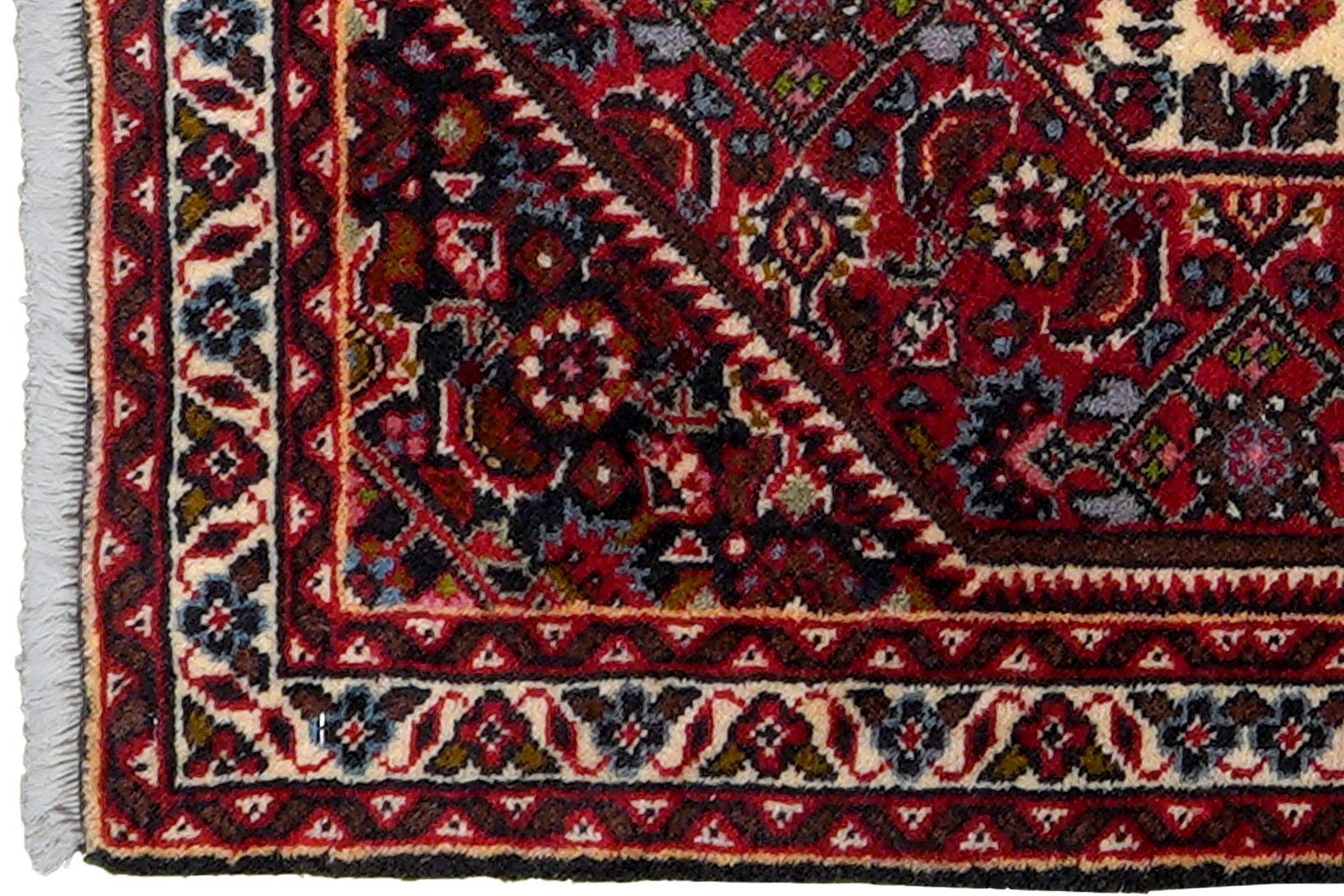 Bidjar Zandjan — Hand-knotted, 47x61 cm, Blue, 100% Virgin Wool | View 3