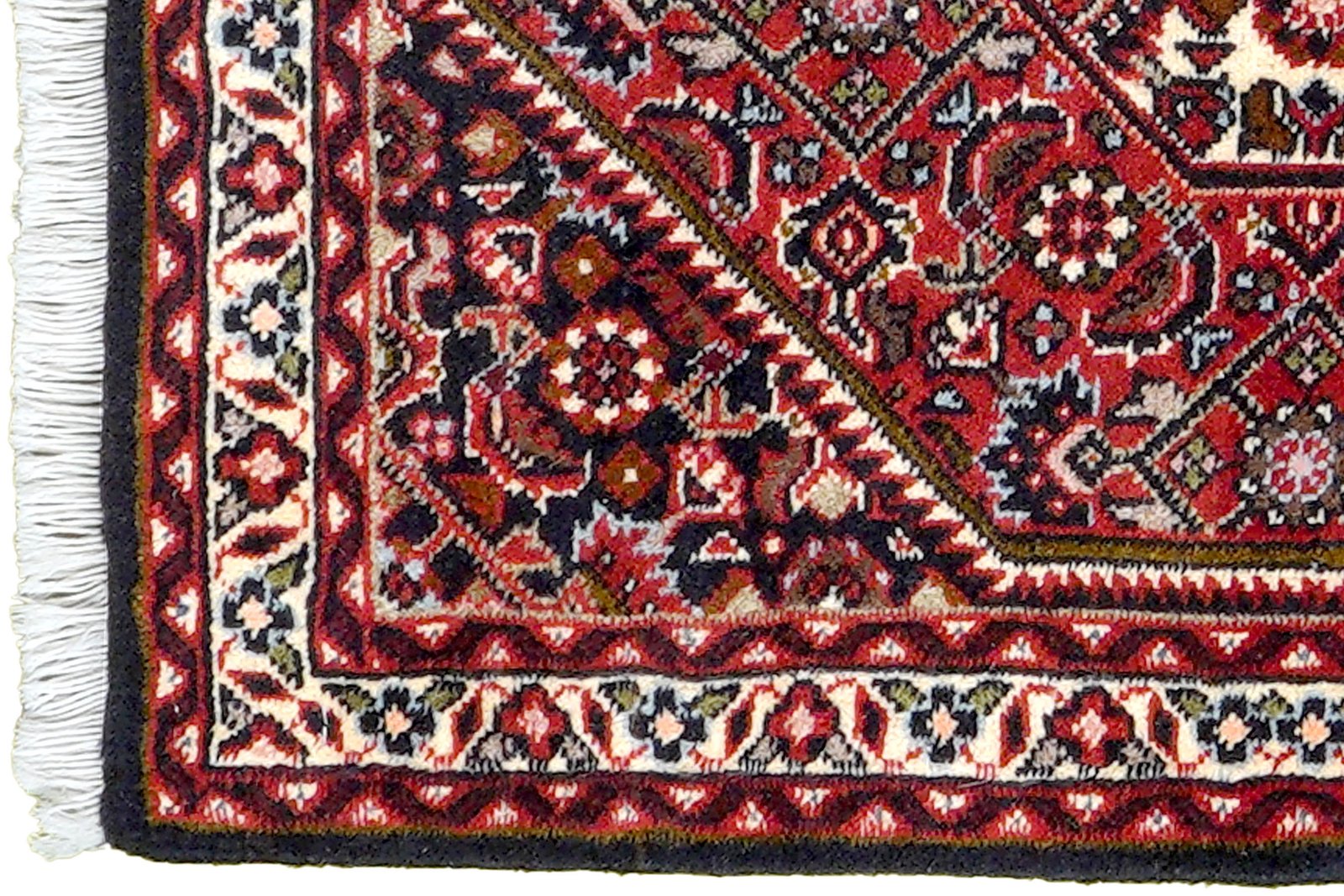 Bidjar Zandjan — Hand-knotted, 46x63 cm, Blue, 100% Virgin Wool | View 3