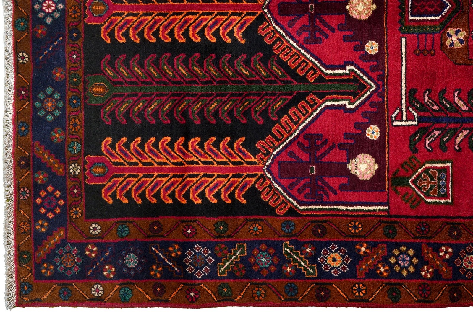 Kolyai — Hand-knotted, 150x239 cm, Multicolor, 100% Virgin Wool | View 3
