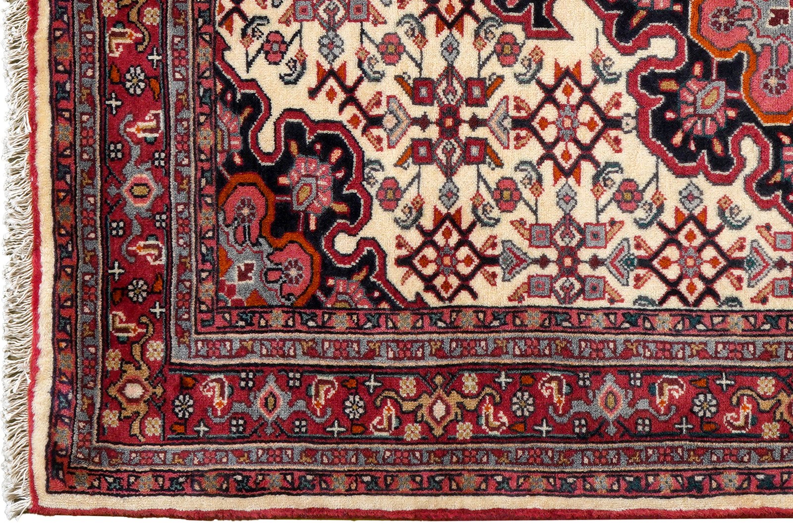 Bidjar Zandjan — Hand-knotted, 107x161 cm, Multicolor, 100% Virgin Wool | View 3