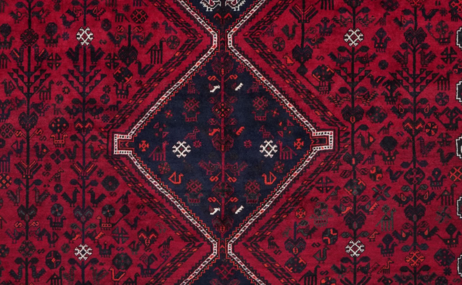 Gashgai — Hand-knotted, 310x393 cm, Red, 100% Virgin Wool | View 4