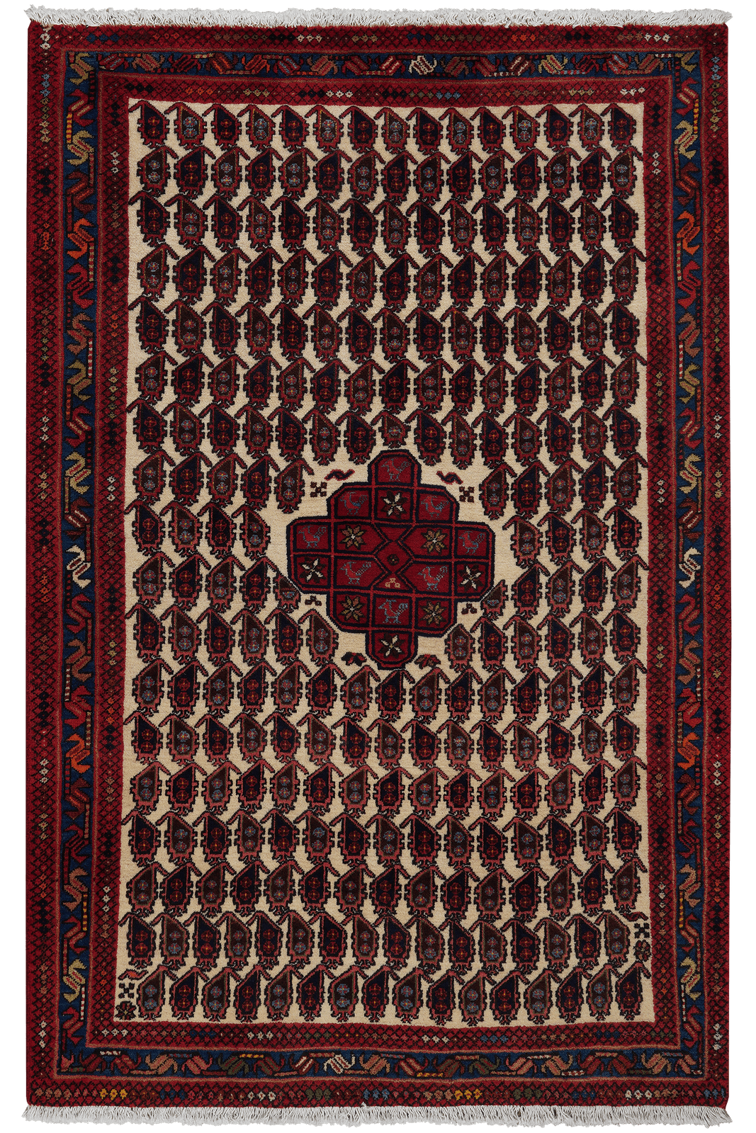 Afshar — Hand-knotted, 104x163 cm, Beige, 100% Virgin Wool | Main view
