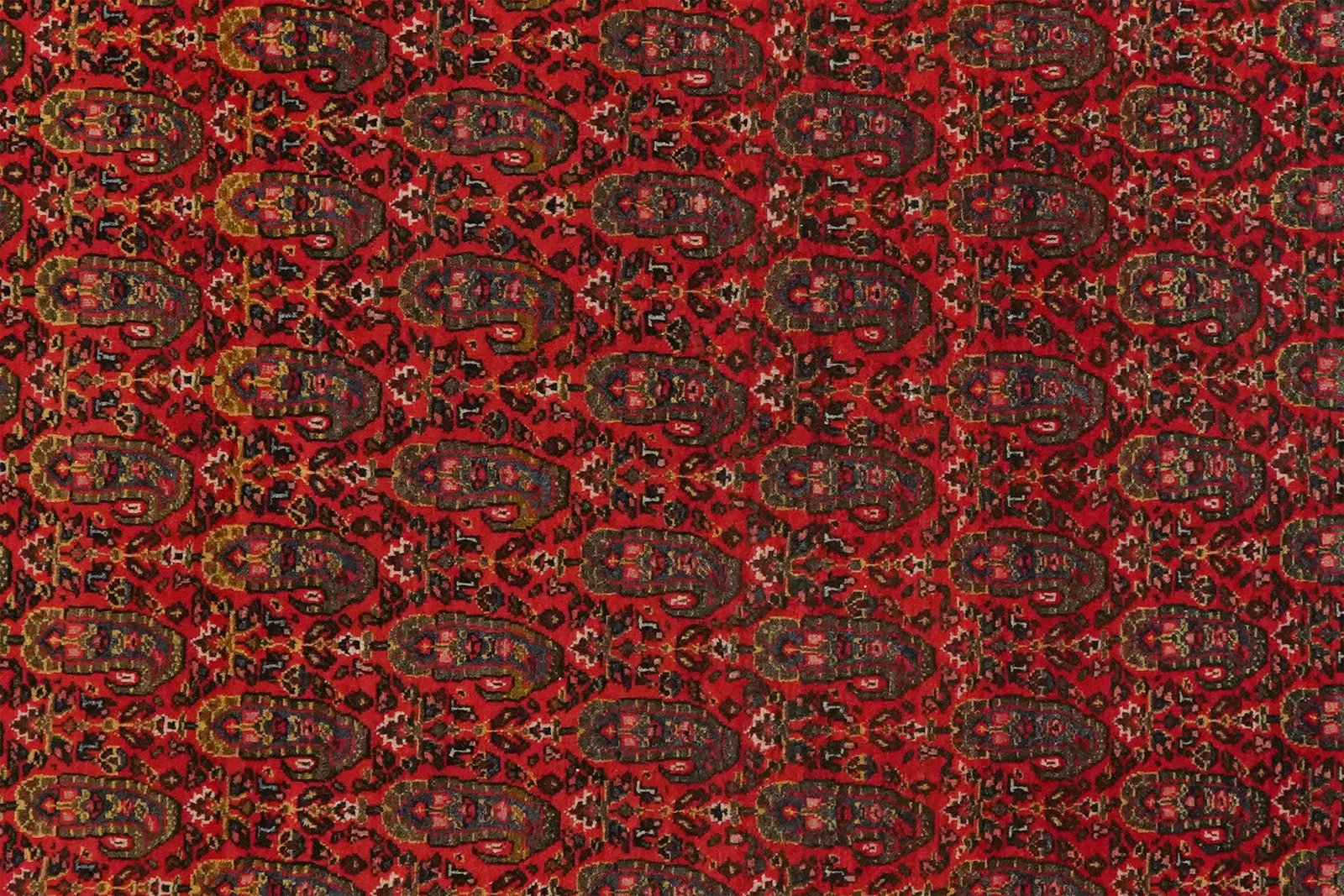 Farahan — Hand-knotted, 105x154 cm, Red, 100% Virgin Wool | View 4