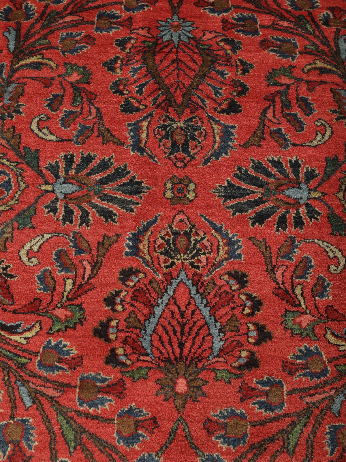Mehreban — Hand-knotted, 338x525 cm, 100% Virgin Wool | View 10