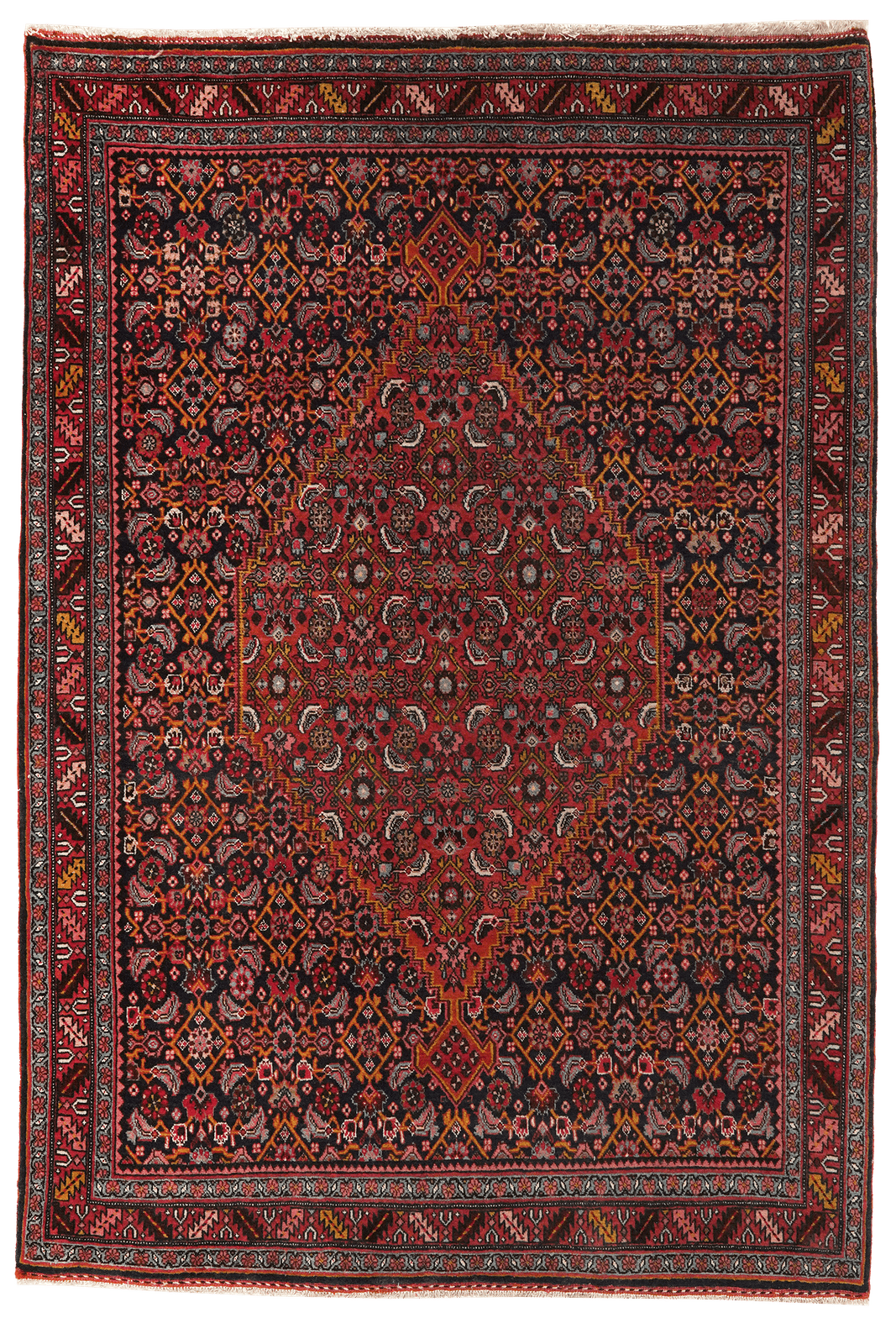 Bidjar — Hand-knotted, 117x163 cm, Blue, 100% Virgin Wool | Main view