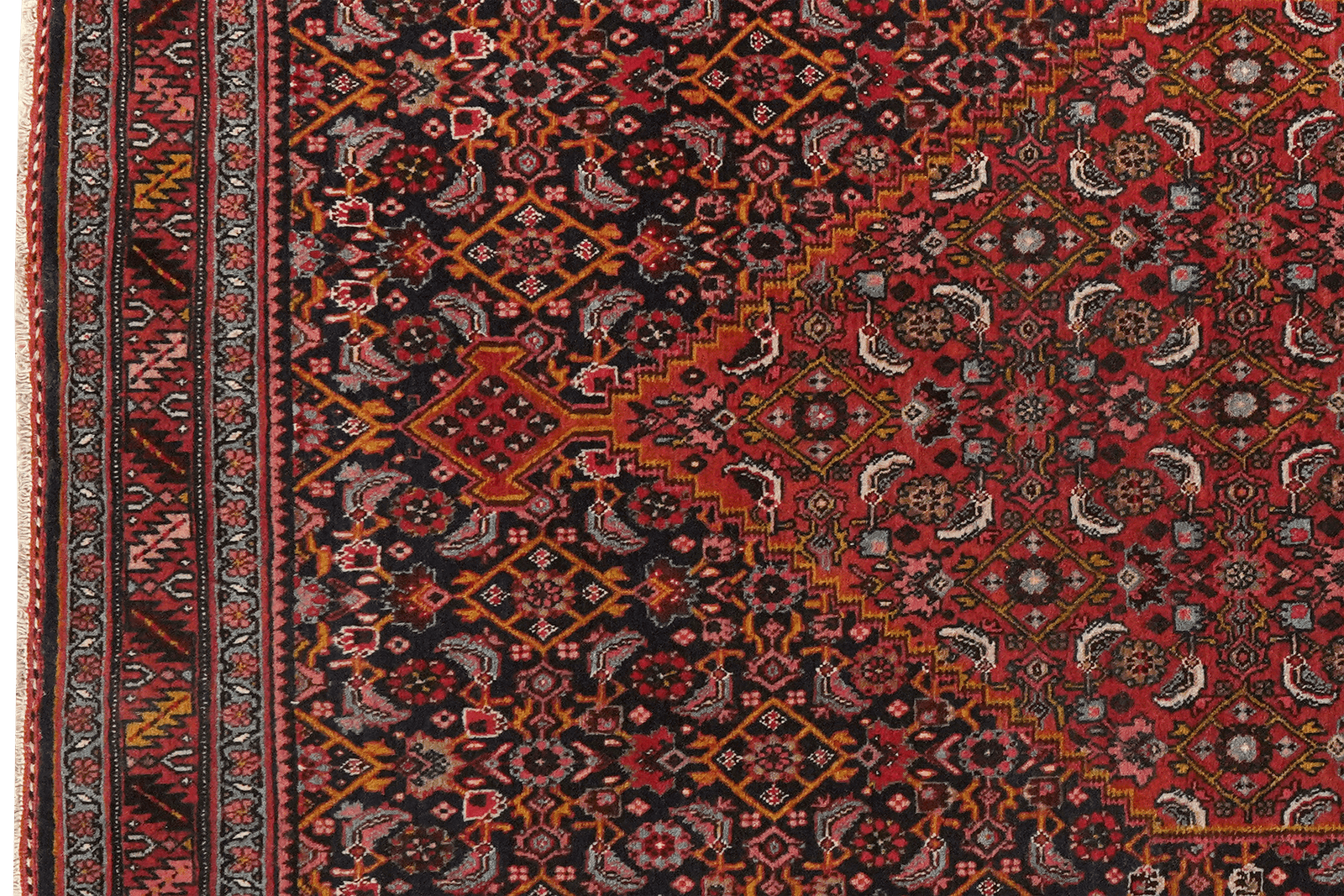 Bidjar — Hand-knotted, 117x163 cm, Blue, 100% Virgin Wool | View 3