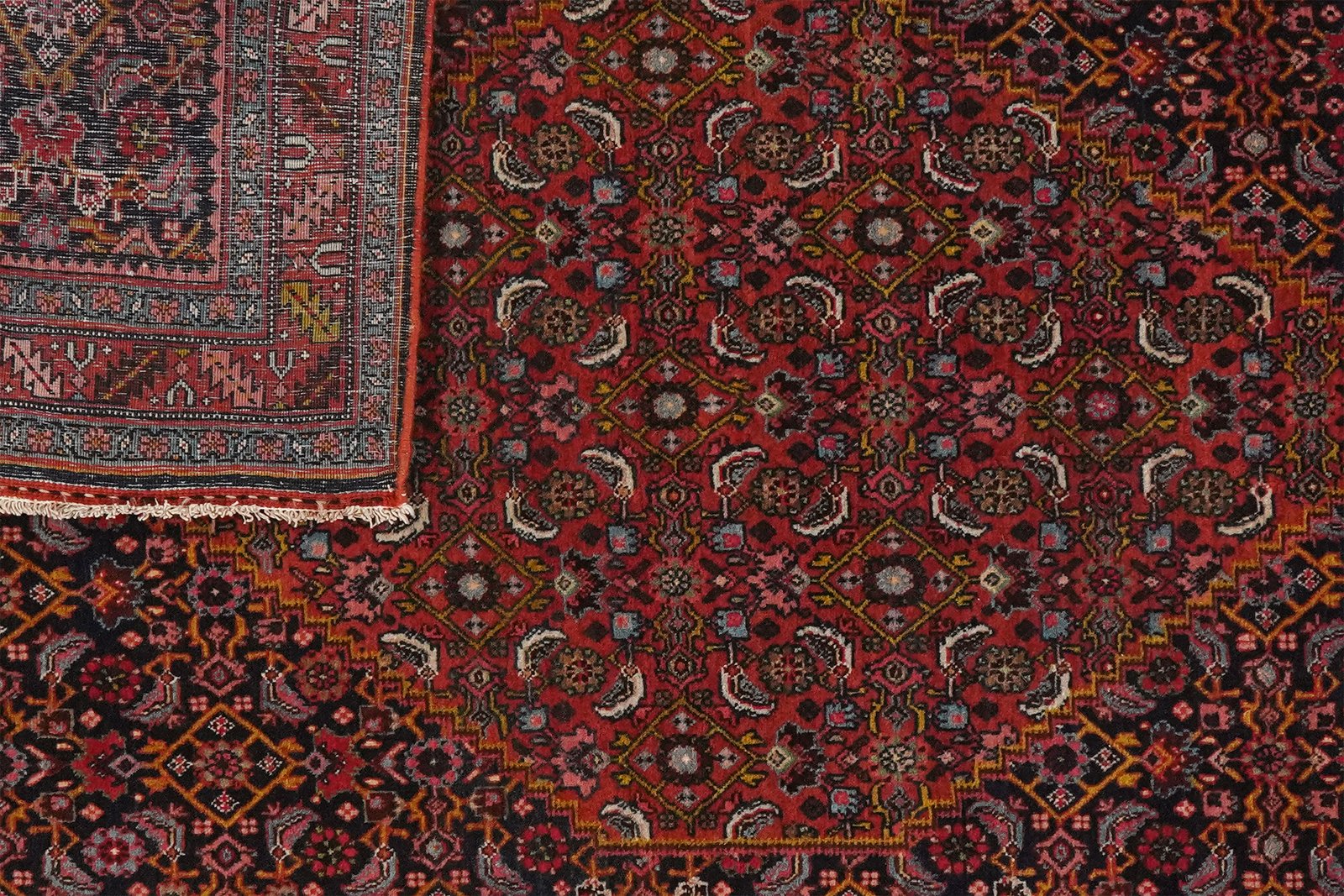 Bidjar — Hand-knotted, 117x163 cm, Blue, 100% Virgin Wool | View 5