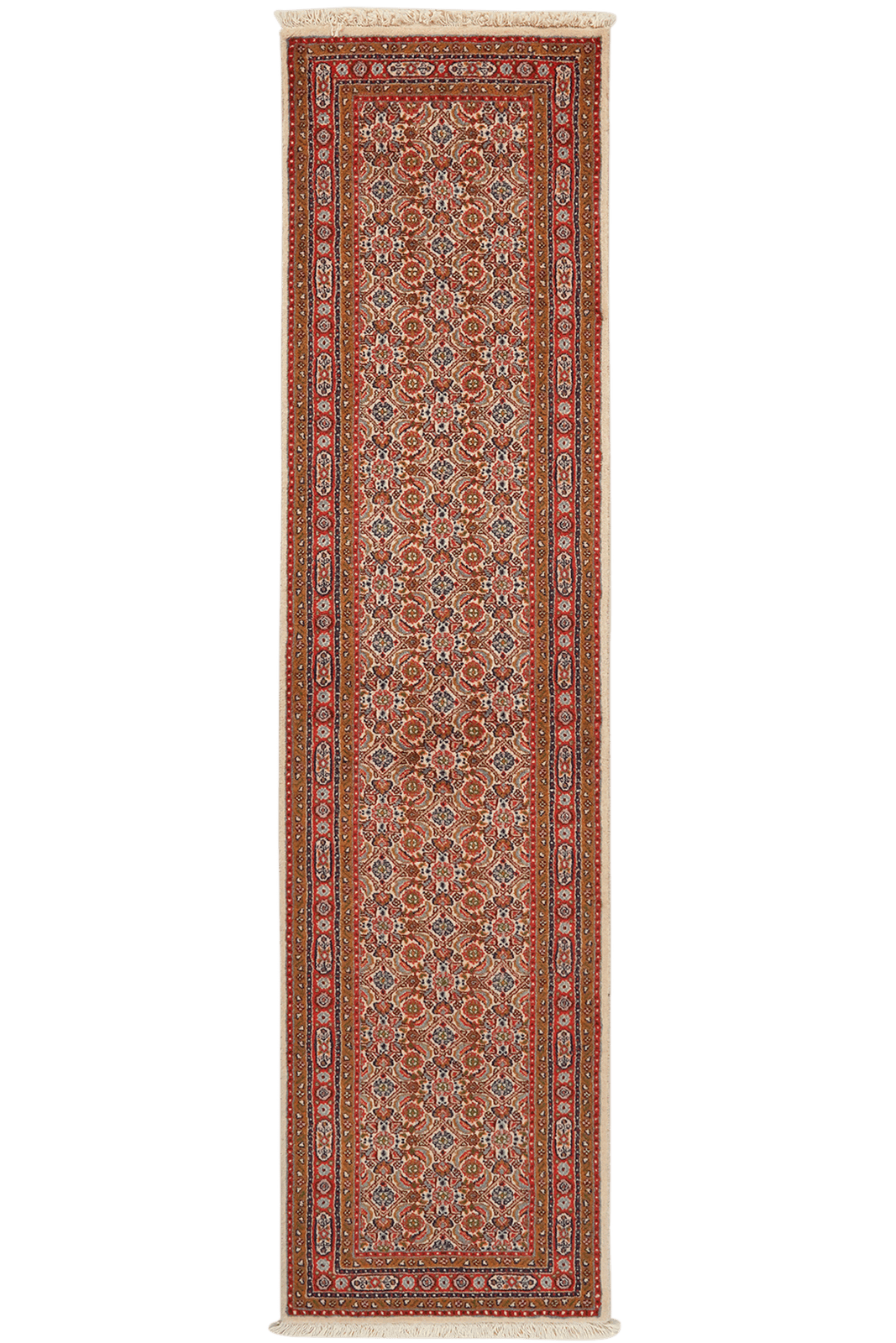 Moud Mahi — Hand-knotted, 49x195 cm, Multicolor, 100% Virgin Wool | Main view